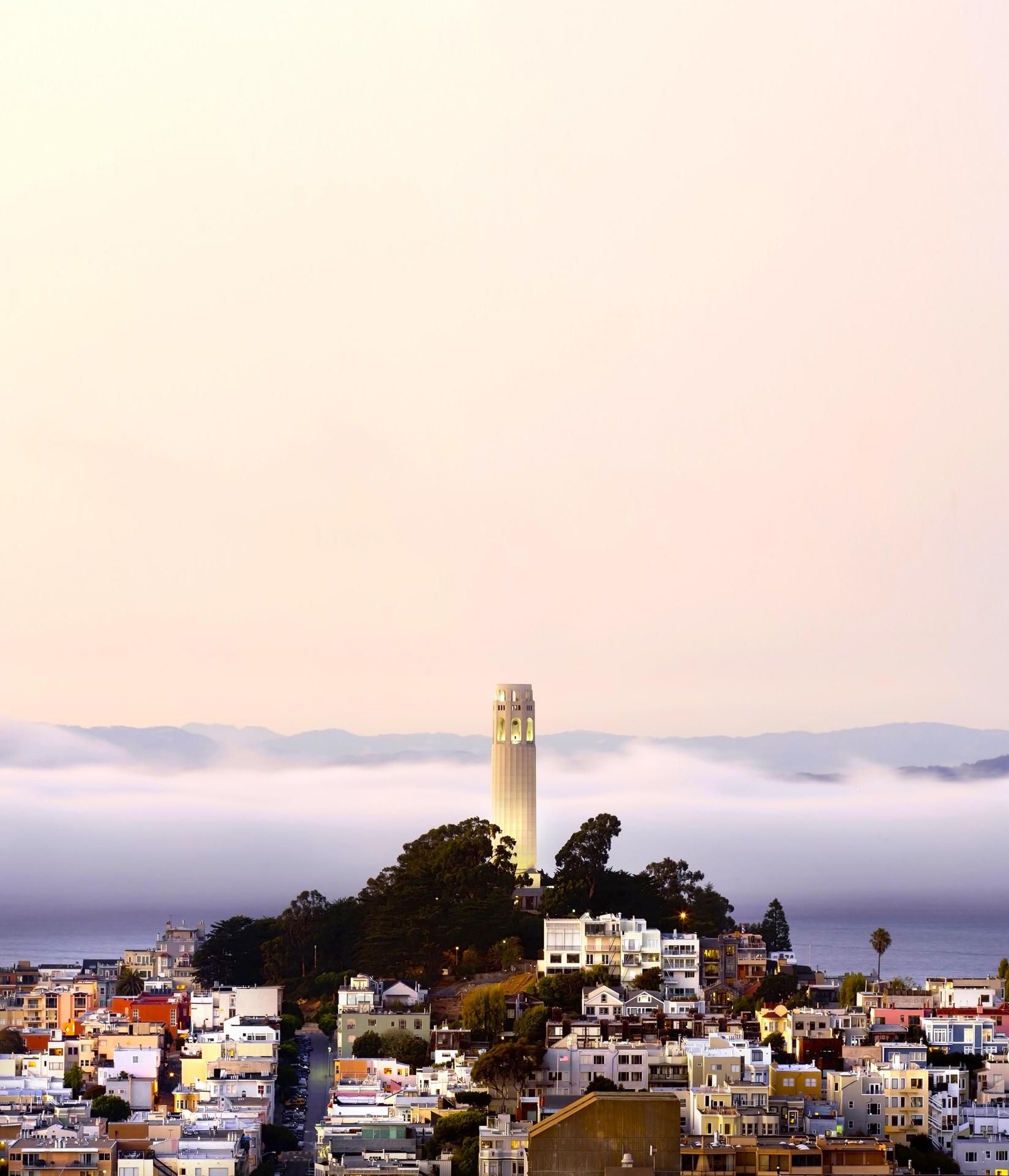Puistikosta nouseva Coit Tower kietoutuu usein sumuun.