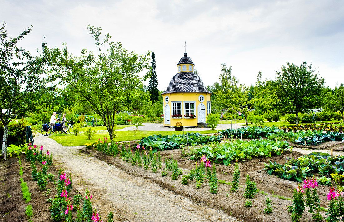 Rovasti Aspegrenin vanhaa puutarhaa hoidetaan entiseen malliin.