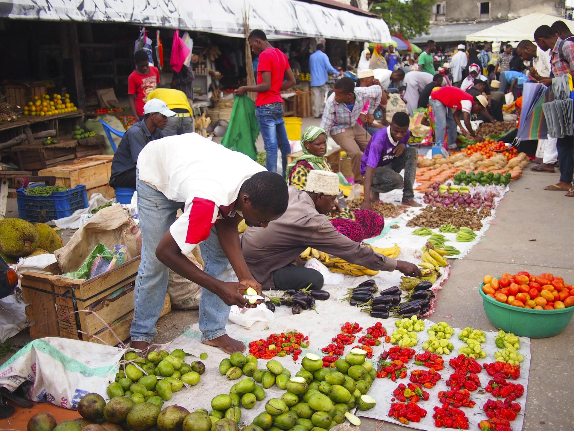  Torilla riittää ihmeteltävää.