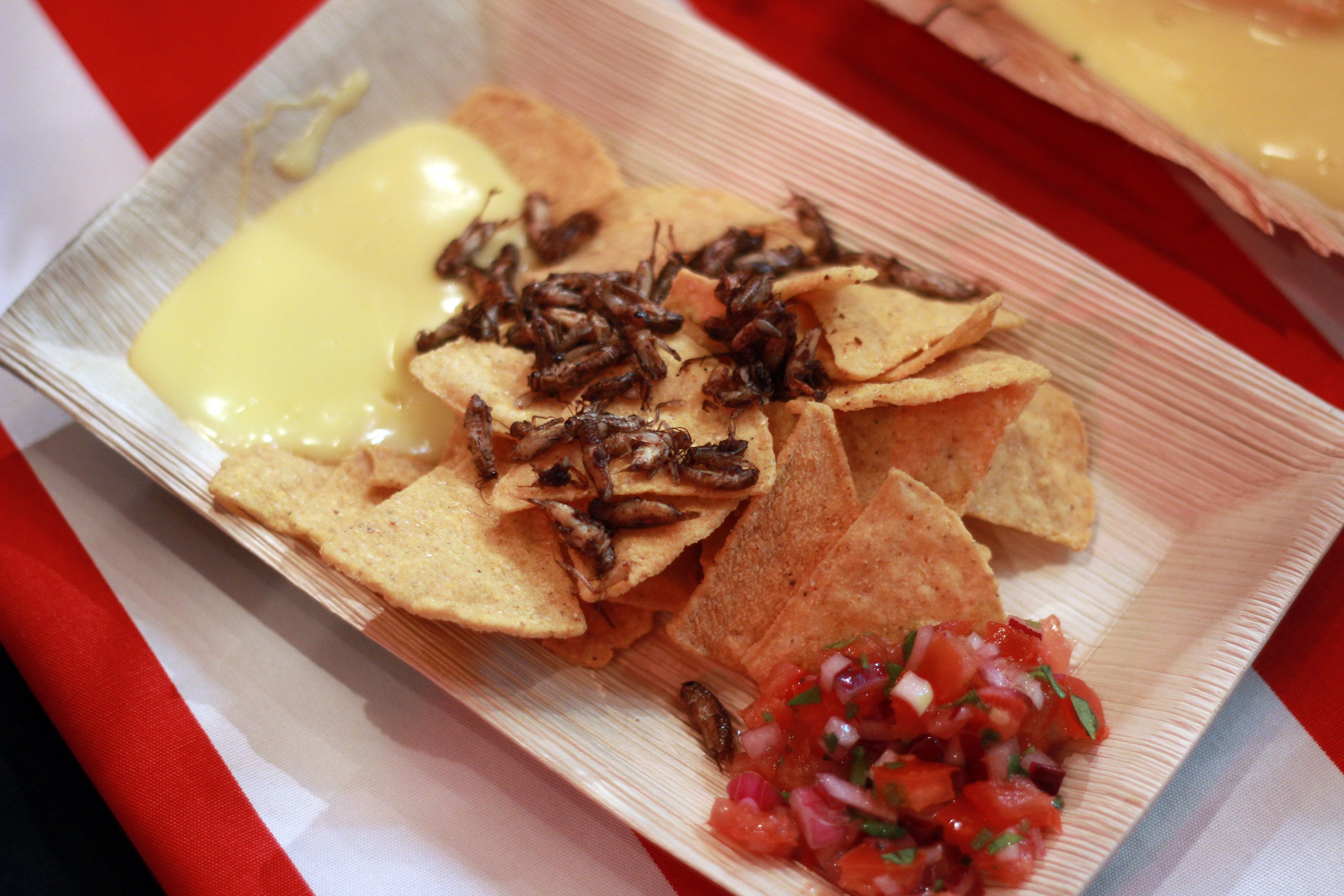 Paistetut sirkat sopivat nachojen kaveriksi.