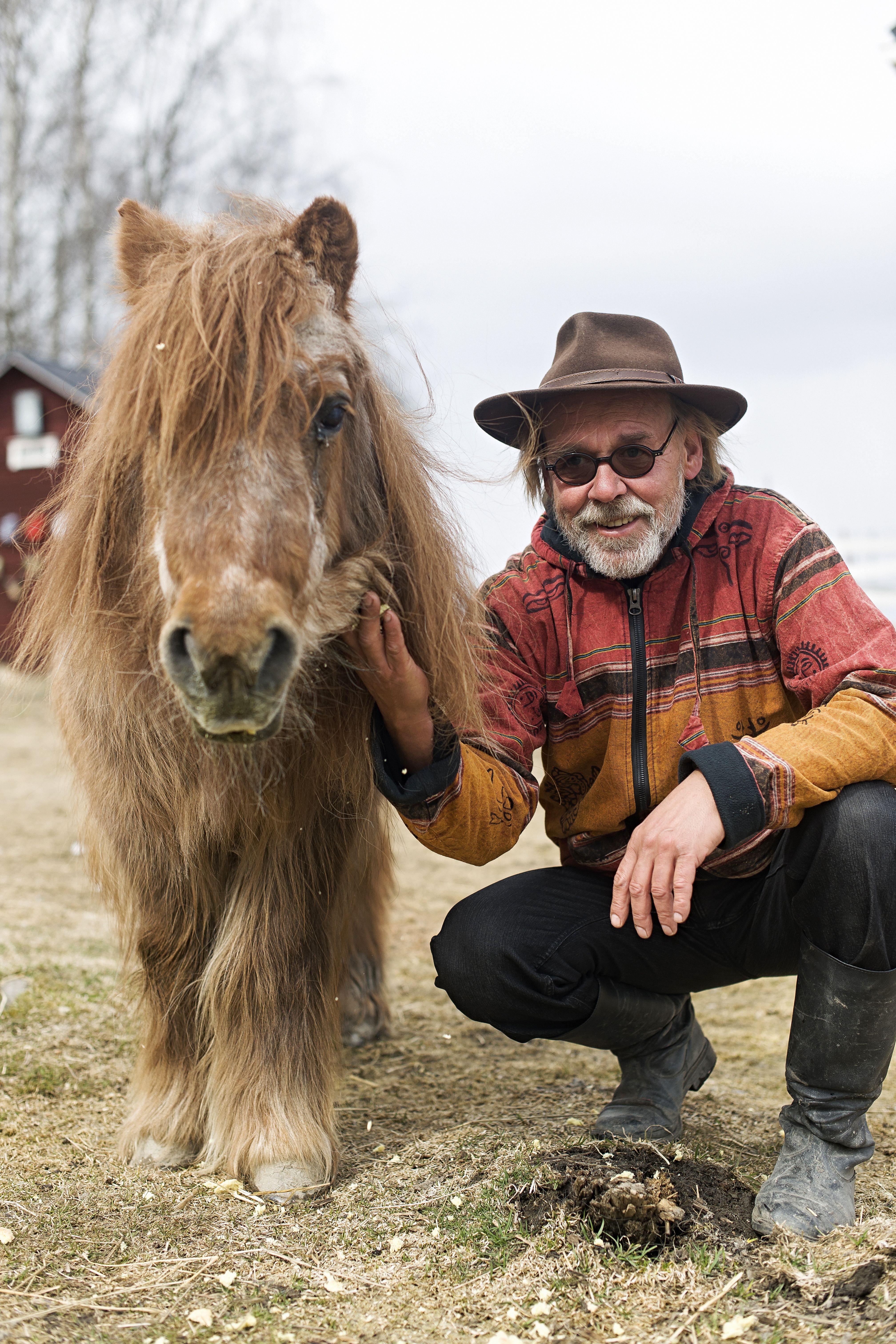 Heikin ja hänen Liisa-vaimonsa tilalla työnsä jo tehneet ponivanhukset saavat nauttia rapsutuksista.