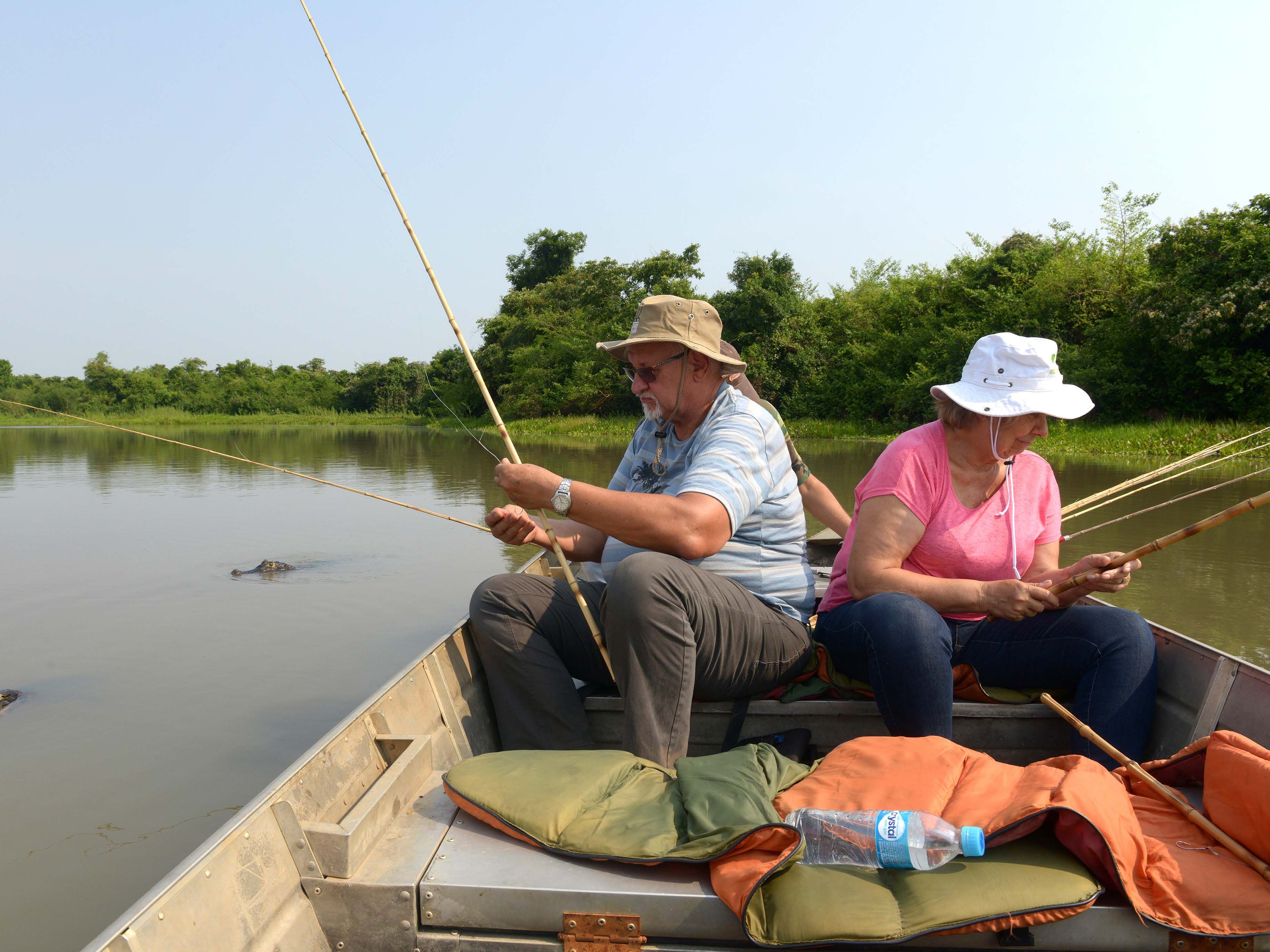 Alligaattori lipuu hiljaa kohti venettä.