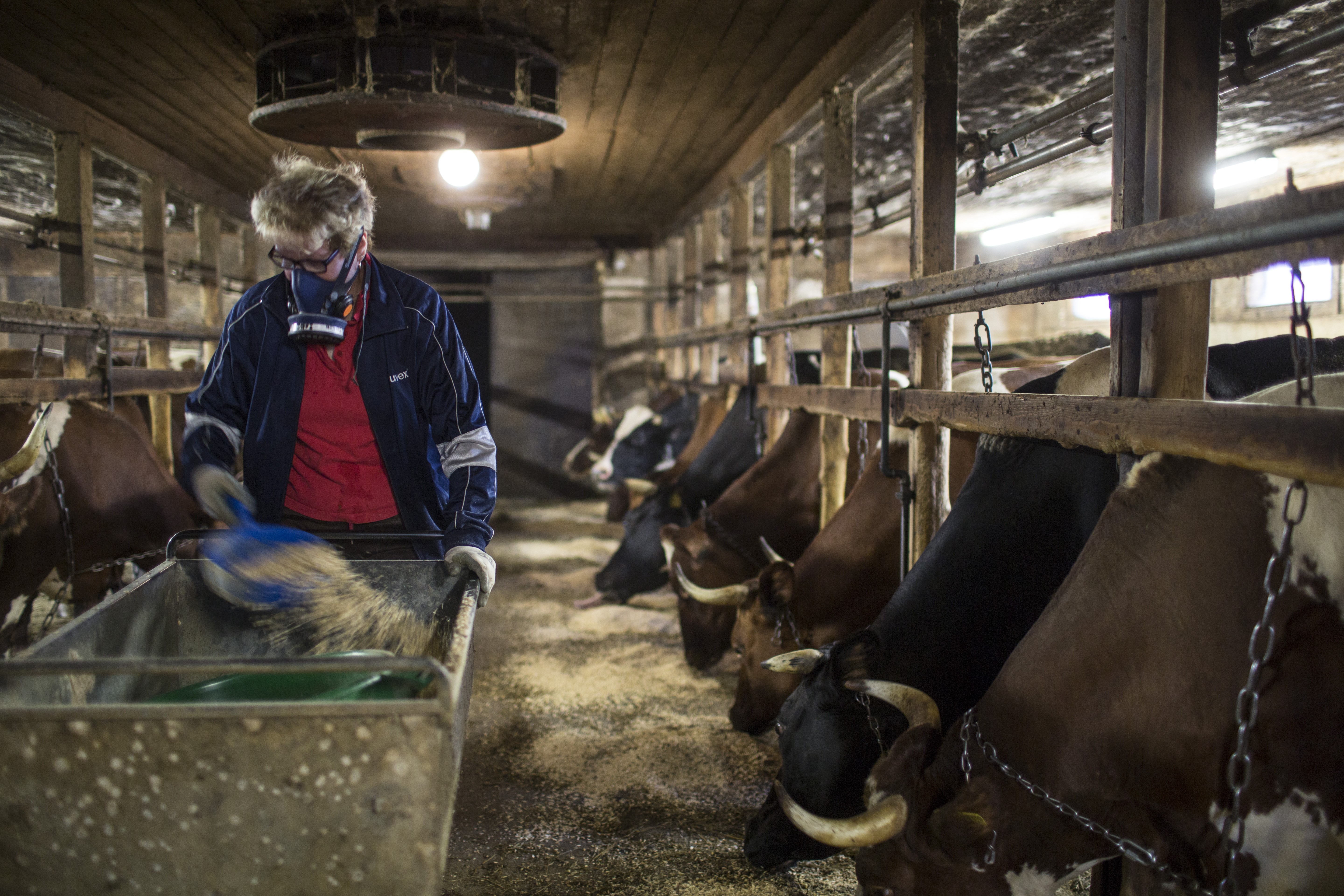 Vuokko ei ole päässyt sairauseläkkeelle allergisesta astmastaan huolimatta.