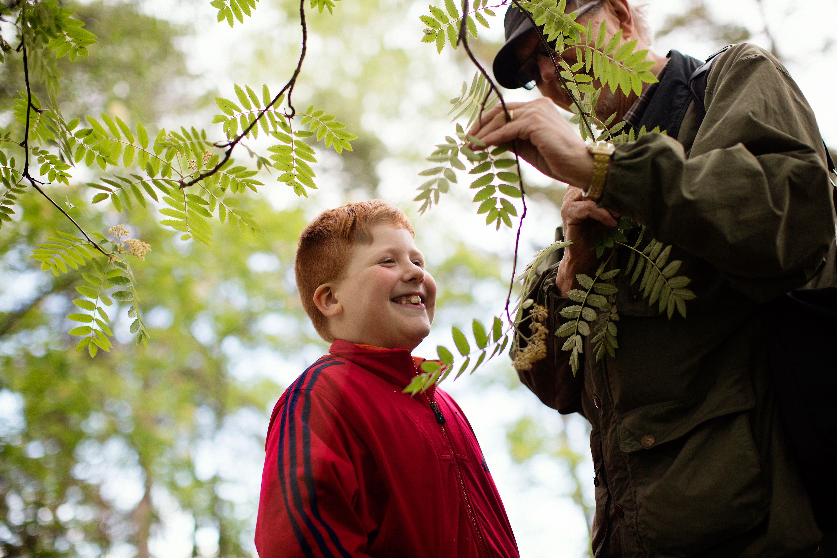 Evlis on hyvin tiedonhaluinen. Petter vastaa mielellään hänen kysymyksiinsä.