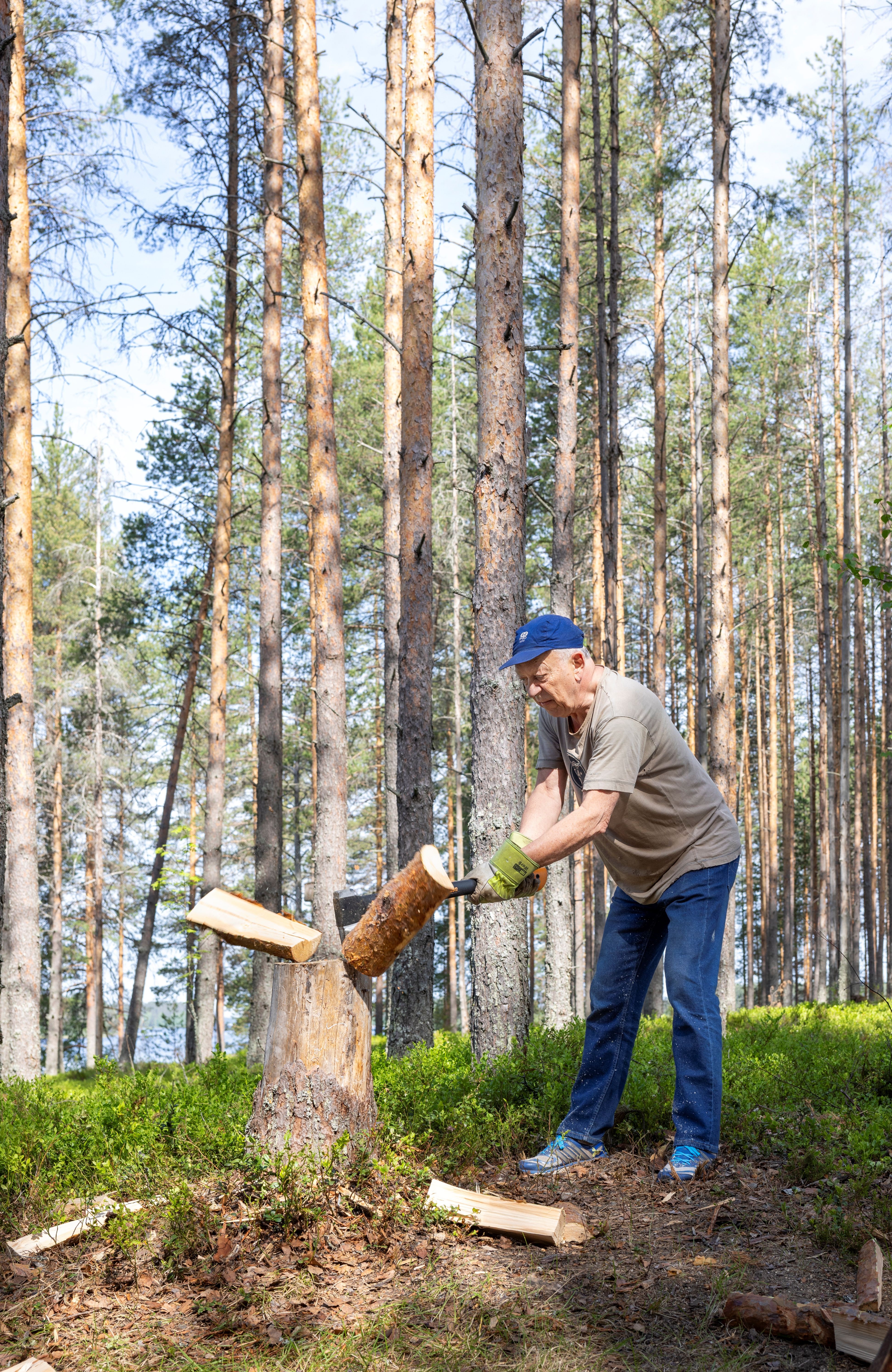 Pekka Puska tekee polttopuita mökillään Ilomantsissa.