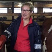 Maatilan emäntä Vuokko Huumarkangas: Opri-lehmän yllätysvasikka 