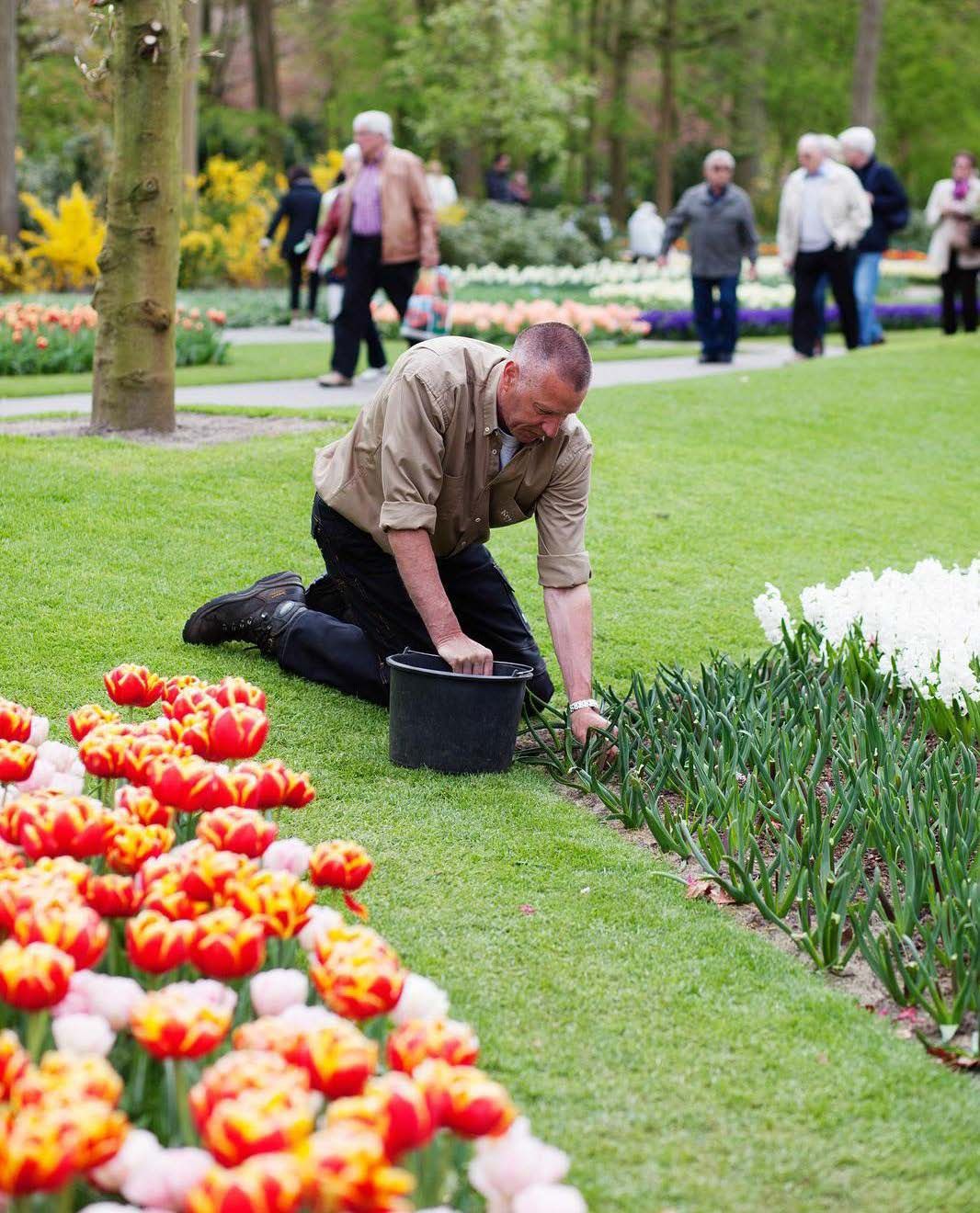 Hans Barbasson on tehnyt puutarhatöitä 27 vuotta.