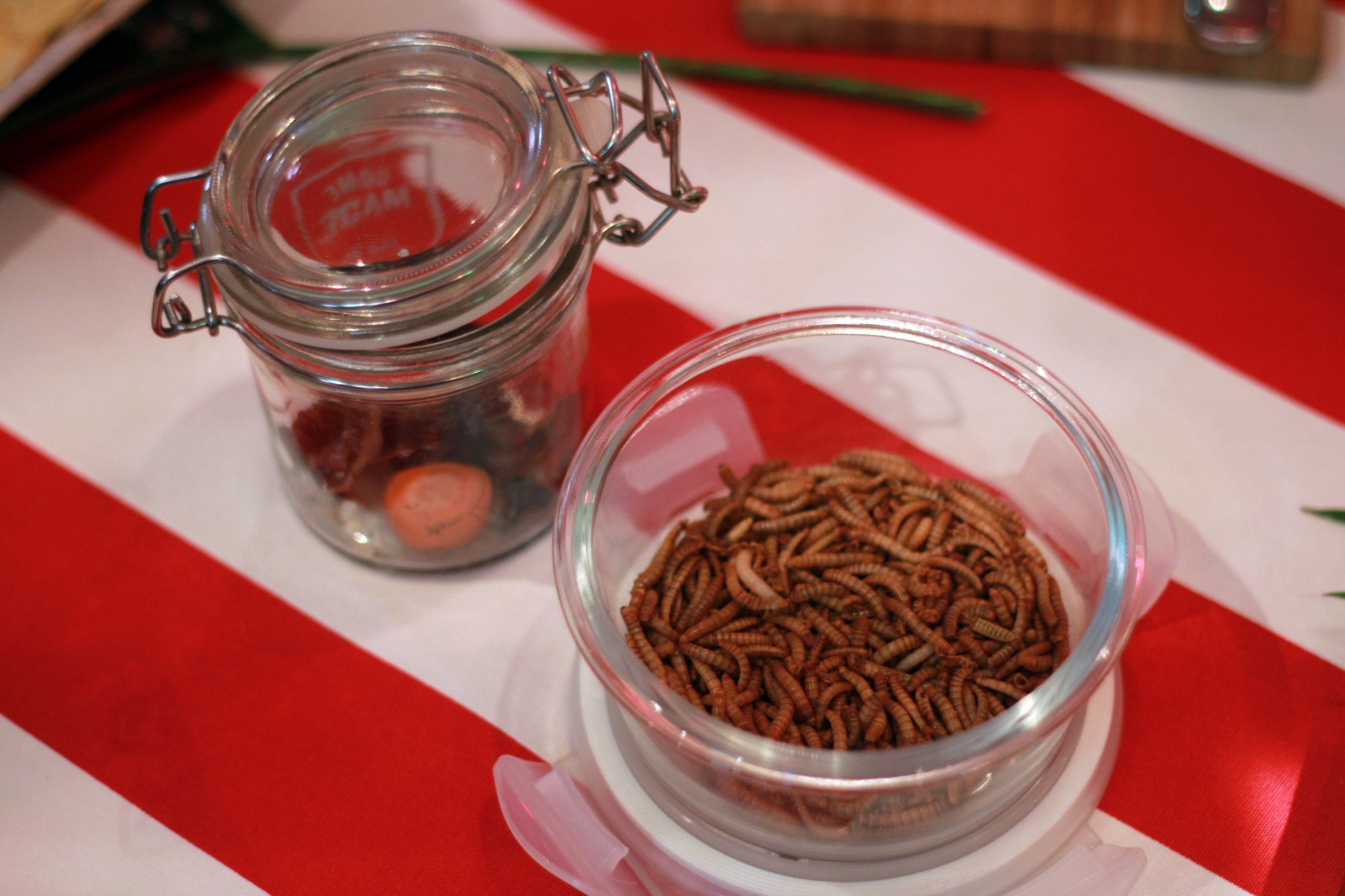 Ruokapöydässä on näytillä myös eläviä esimerkkejä. 