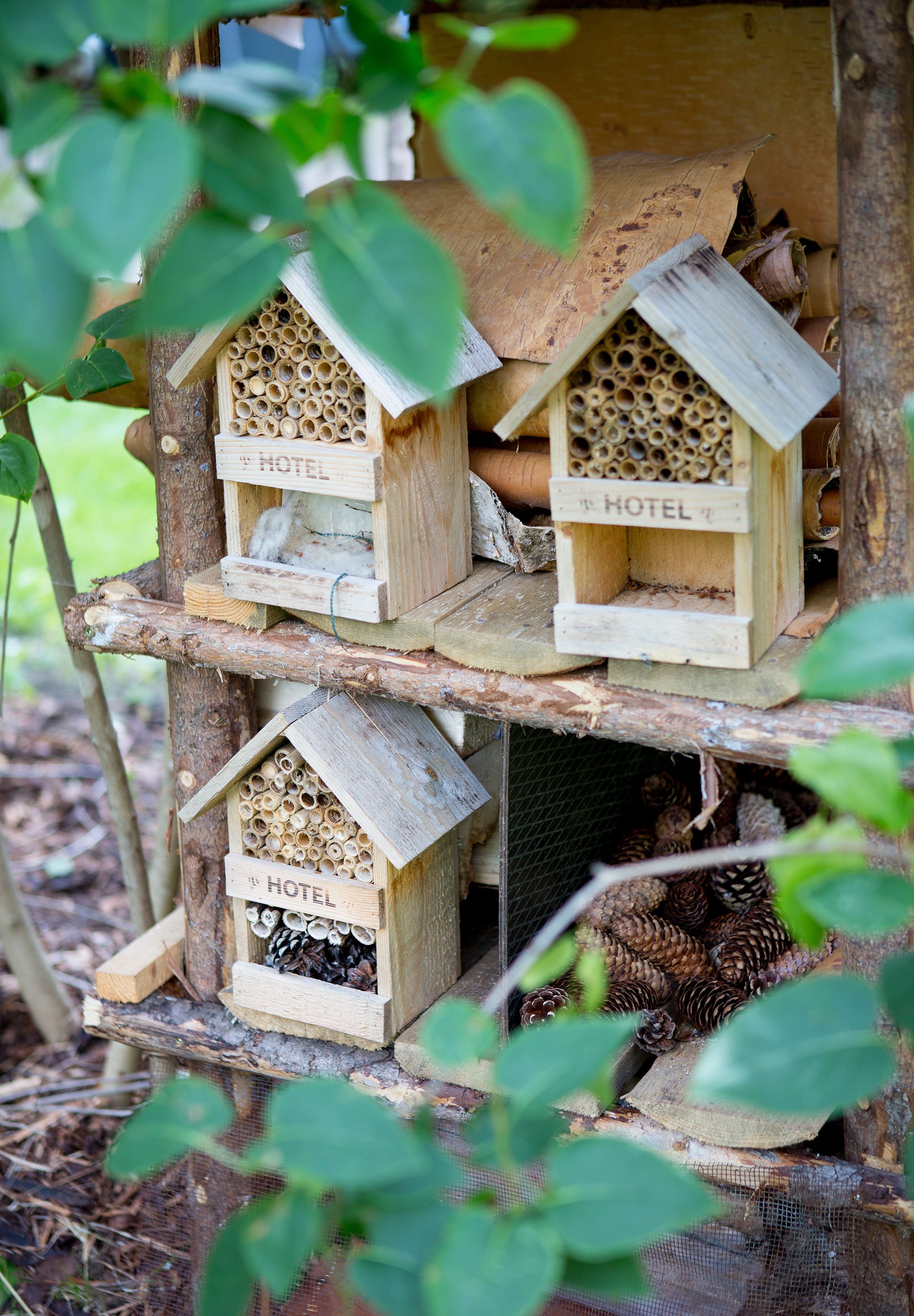 Hyönteishotelleissa on käytetty järviruokoa.