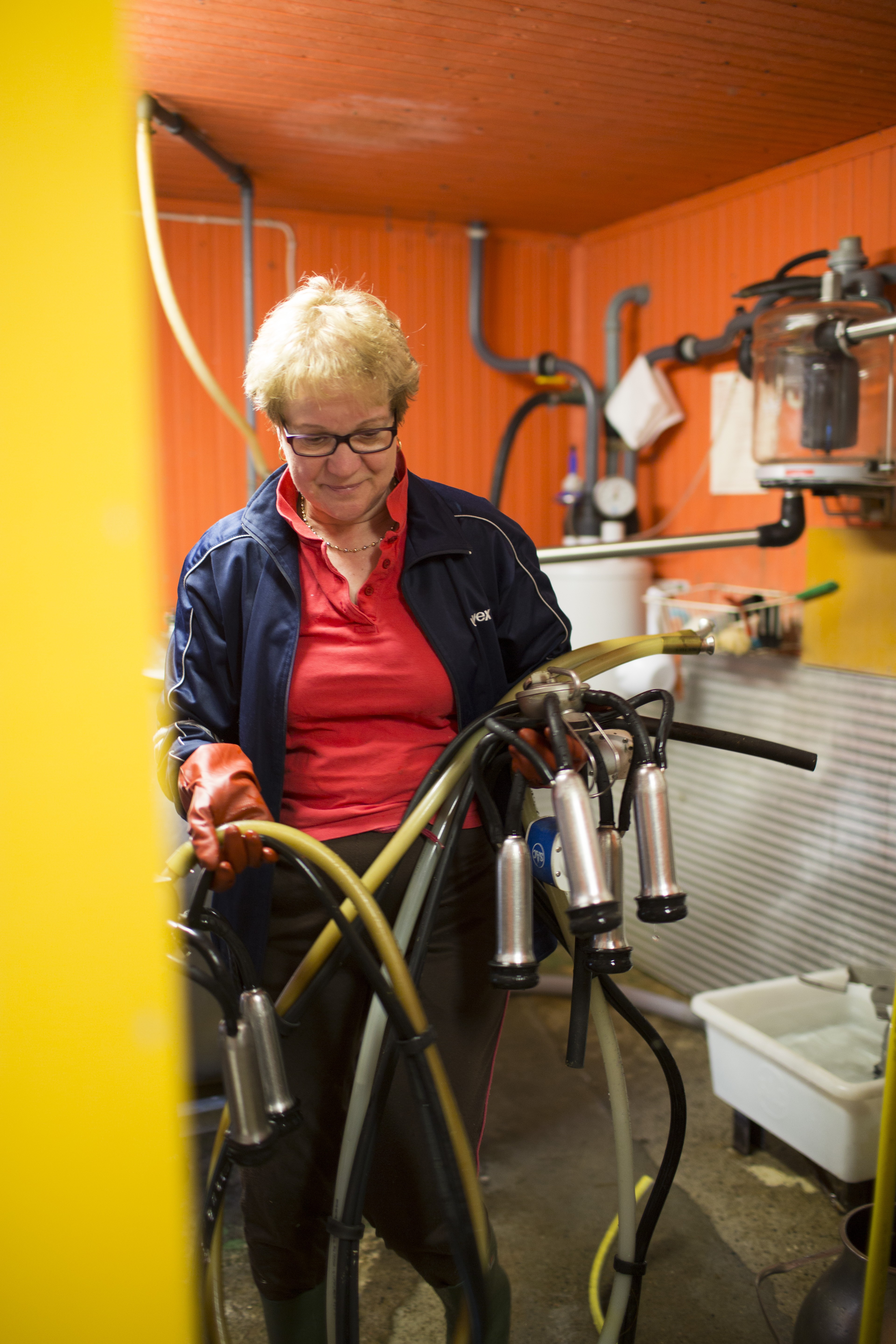 Vuokon työ navetassa on hyvin fyysistä, vaikka hänellä onkin koneita apunaan.