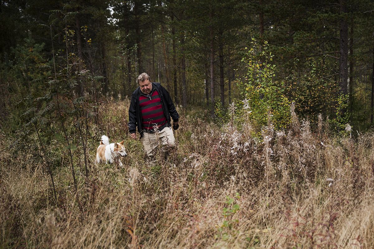 Pystykorva Kimi tietää missä mennään.