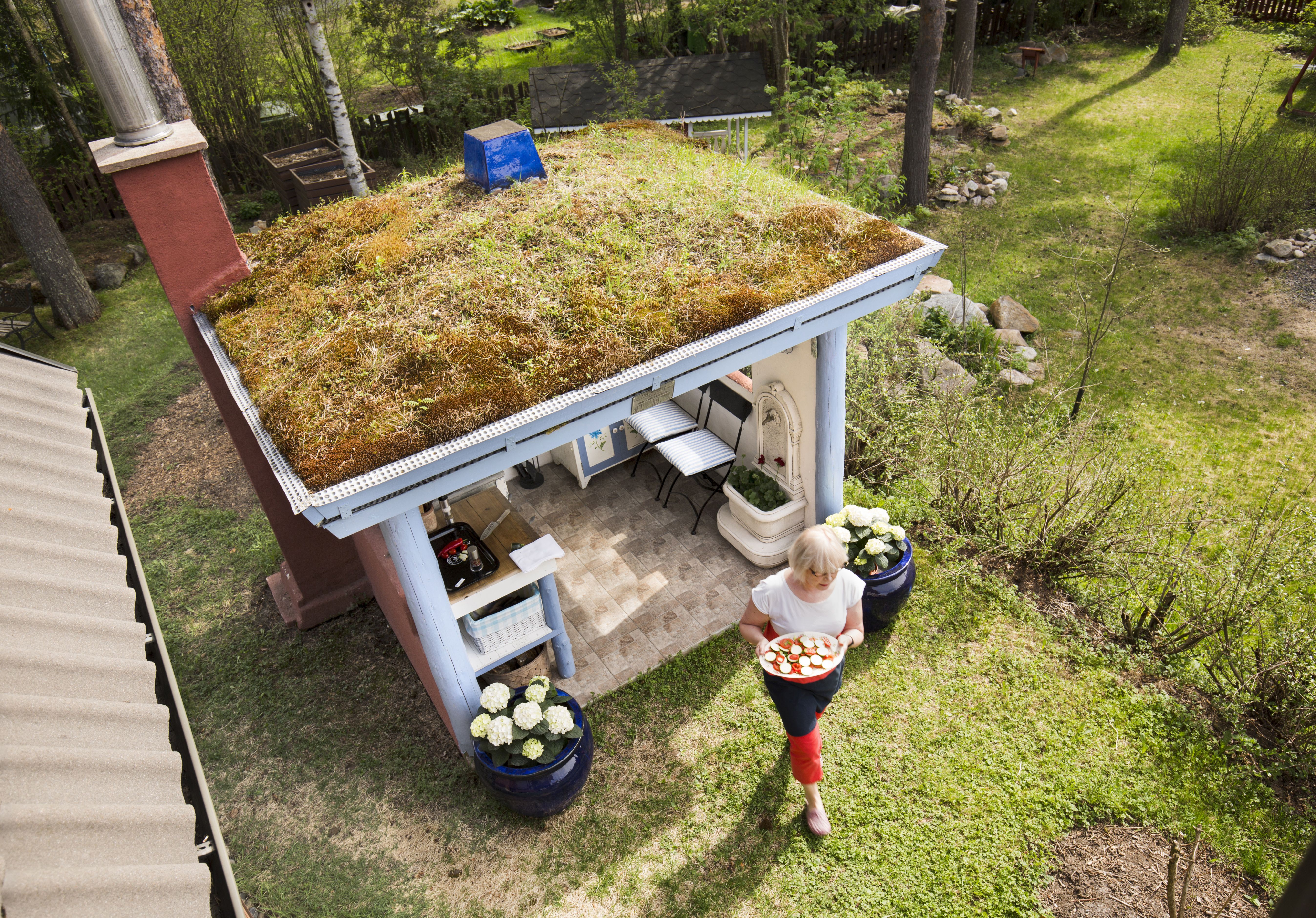 Turvekatolla kasvaa sammalta ja horsmaa.