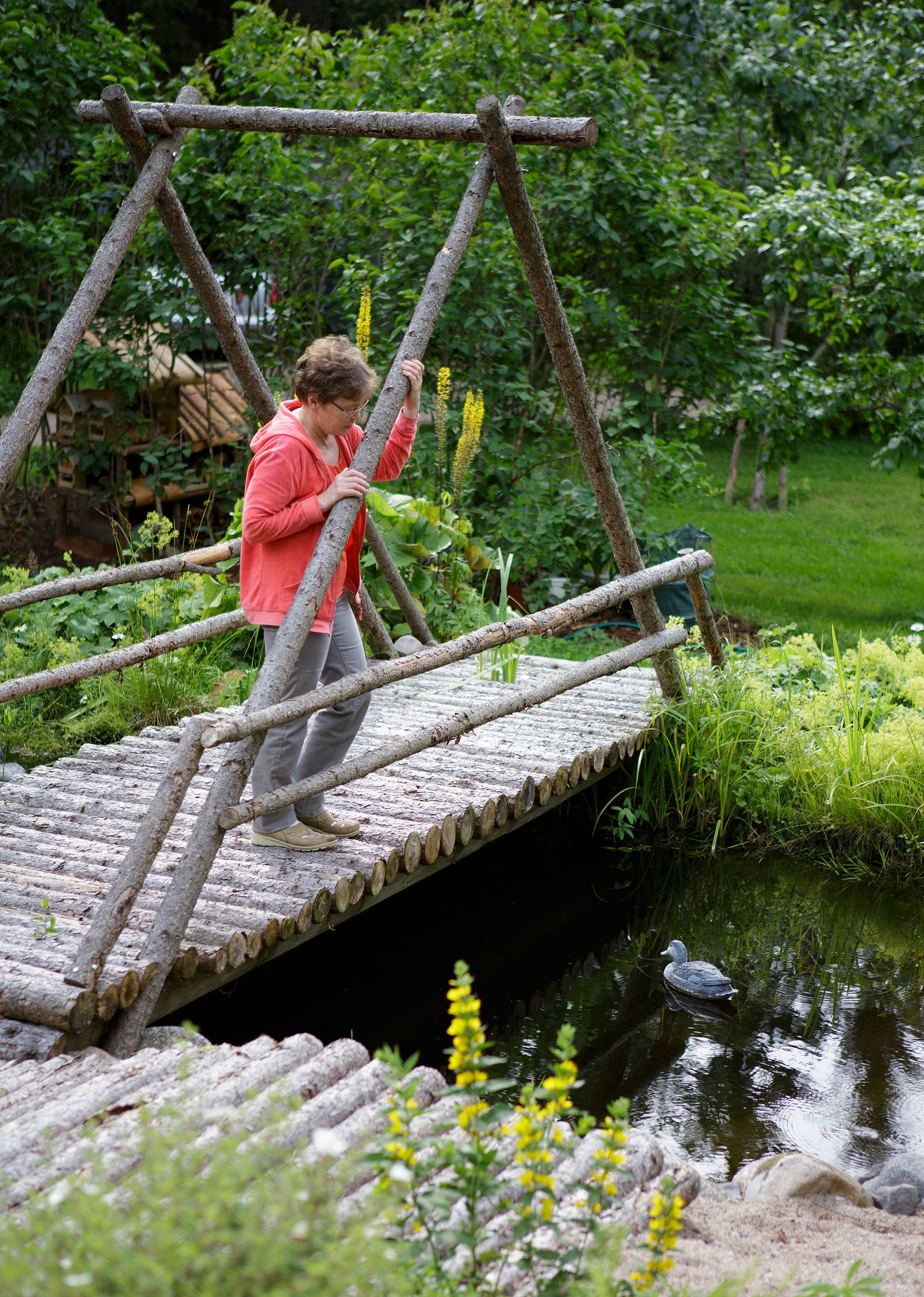 Lammessa viihtyvät niin ruutanat kuin sammakot.
