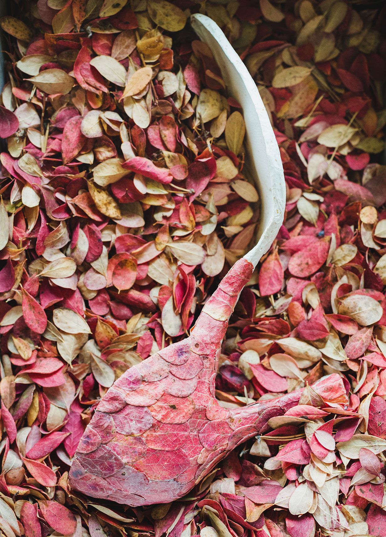 Luonnonmateriaalien muodot ja värit, vuodenaikojen kierto ja luonnon hetkellisyys tallentuvat Anni Rapinojan taiteeseen.