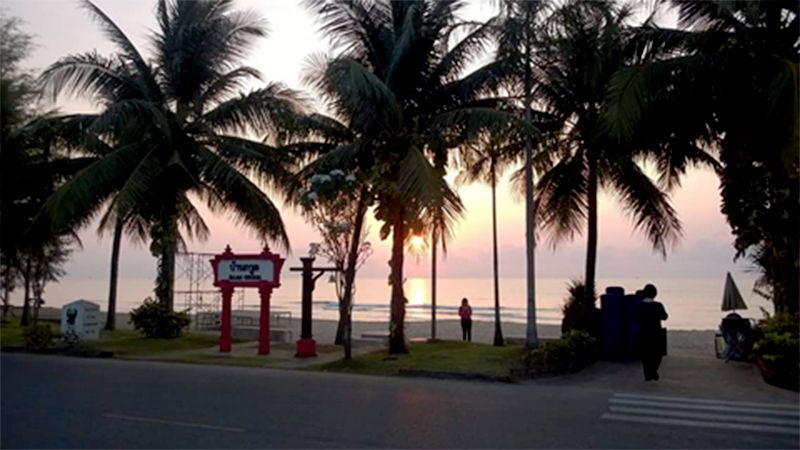 Palmuja auringonlaskussa.