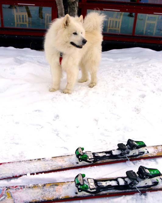 Täällä vartioin minä!