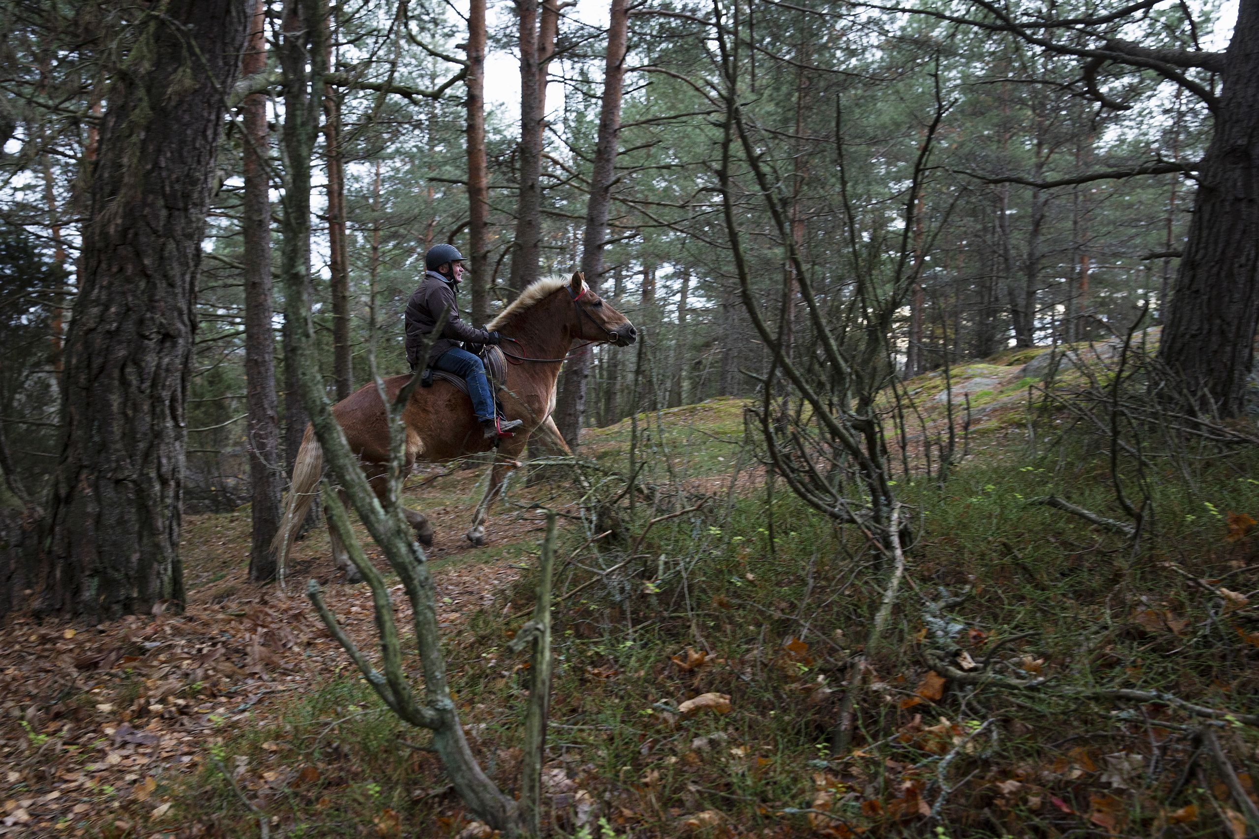 Metsäpoluilla Nuppu ja Heikki kiitävät kumpuilevissa maastoissa välillä reippaammin, välillä rauhassa maisemia tutkiskellen.