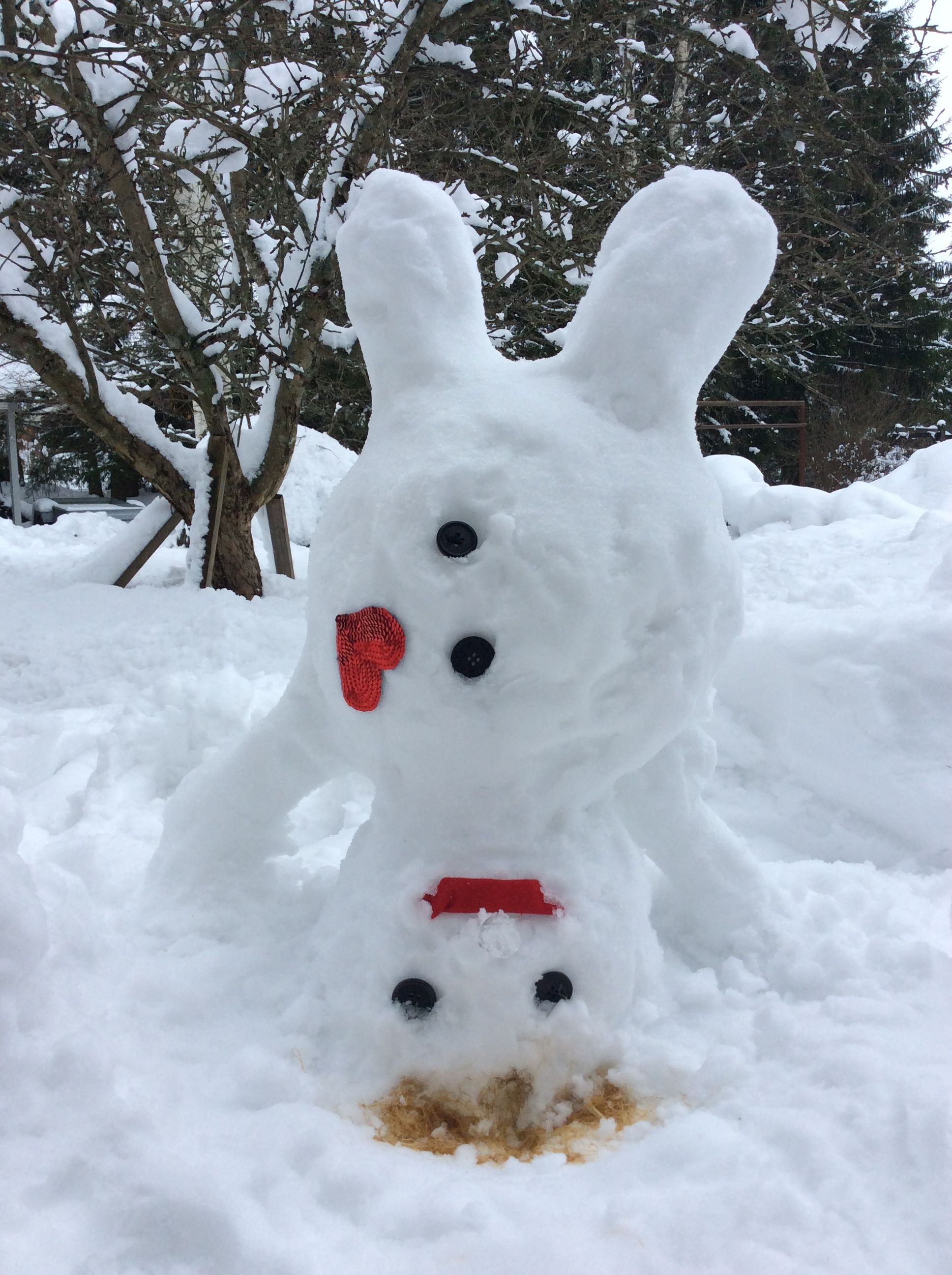 Kiroosa on taikonut käänteisukon.