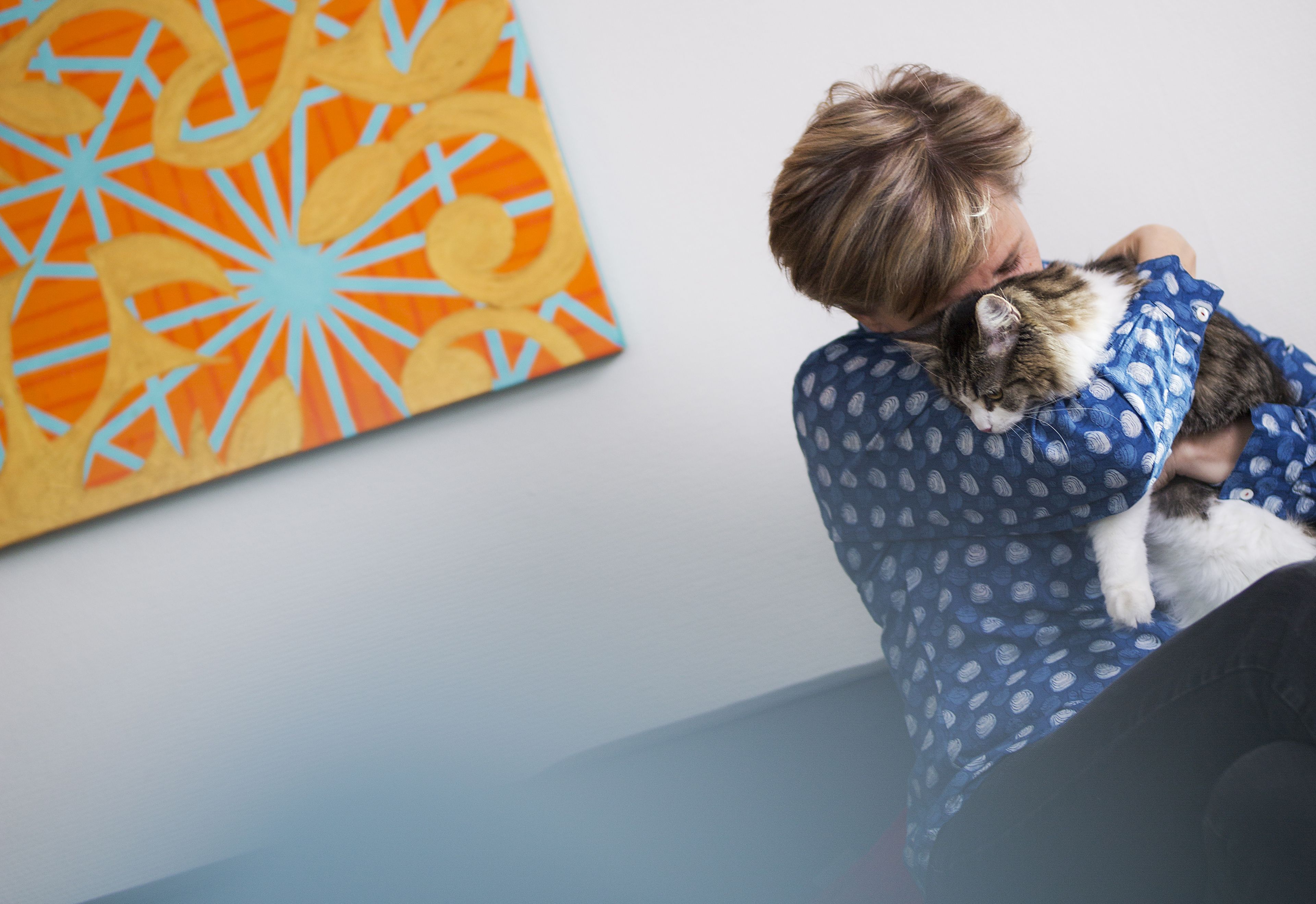 Minna Lindgren kesyttää Figarosta sylikissaa.