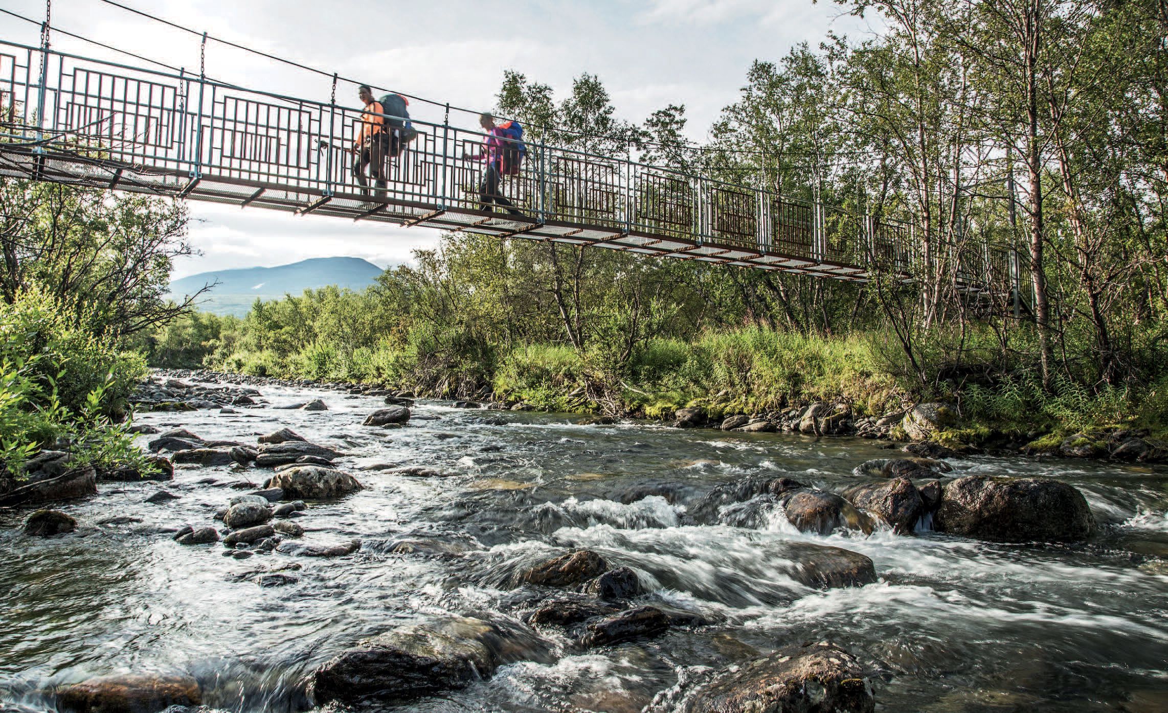 Keskiyön aurinko loistaa Abiskossa 17.6.–19.7.