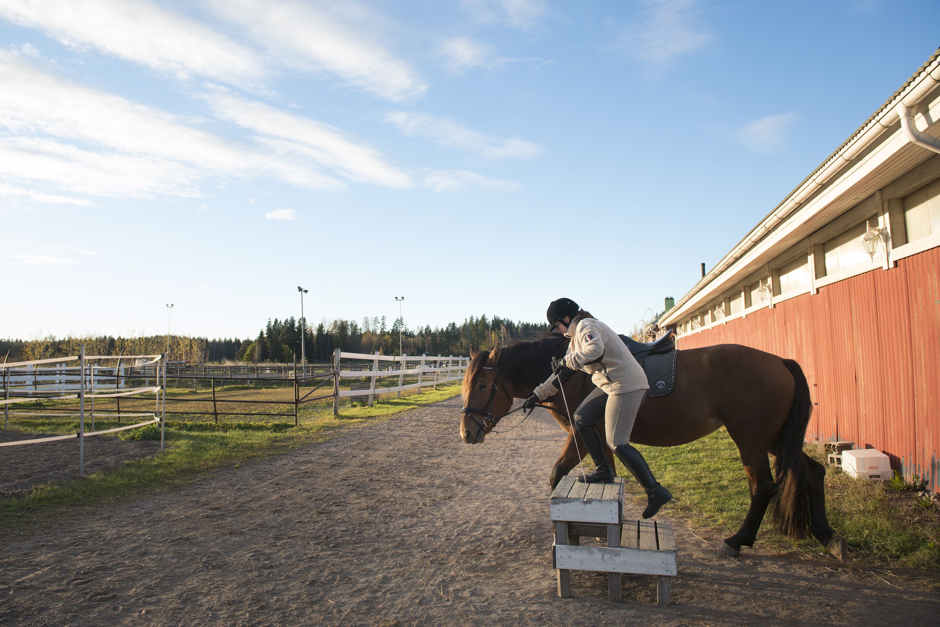 Ada nousee hevosen selkään aina korokkeelta. Se säästää myös hevosen selkää.
