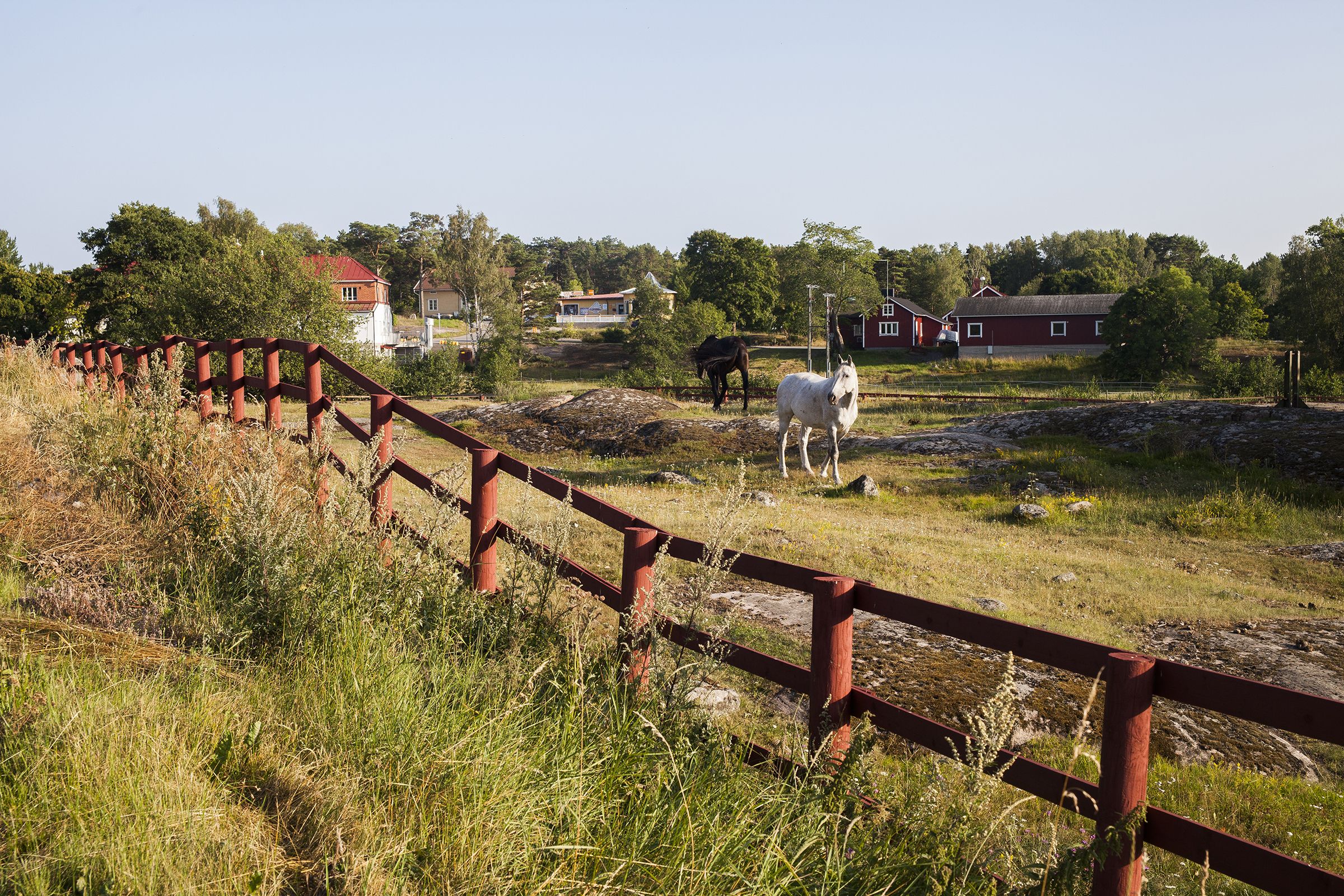 Heinä tuoksuu huumaavasti pyöräilijän nenään kesäisessä saaristossa. Korppoon kirkonkylä on kuin postikortista.