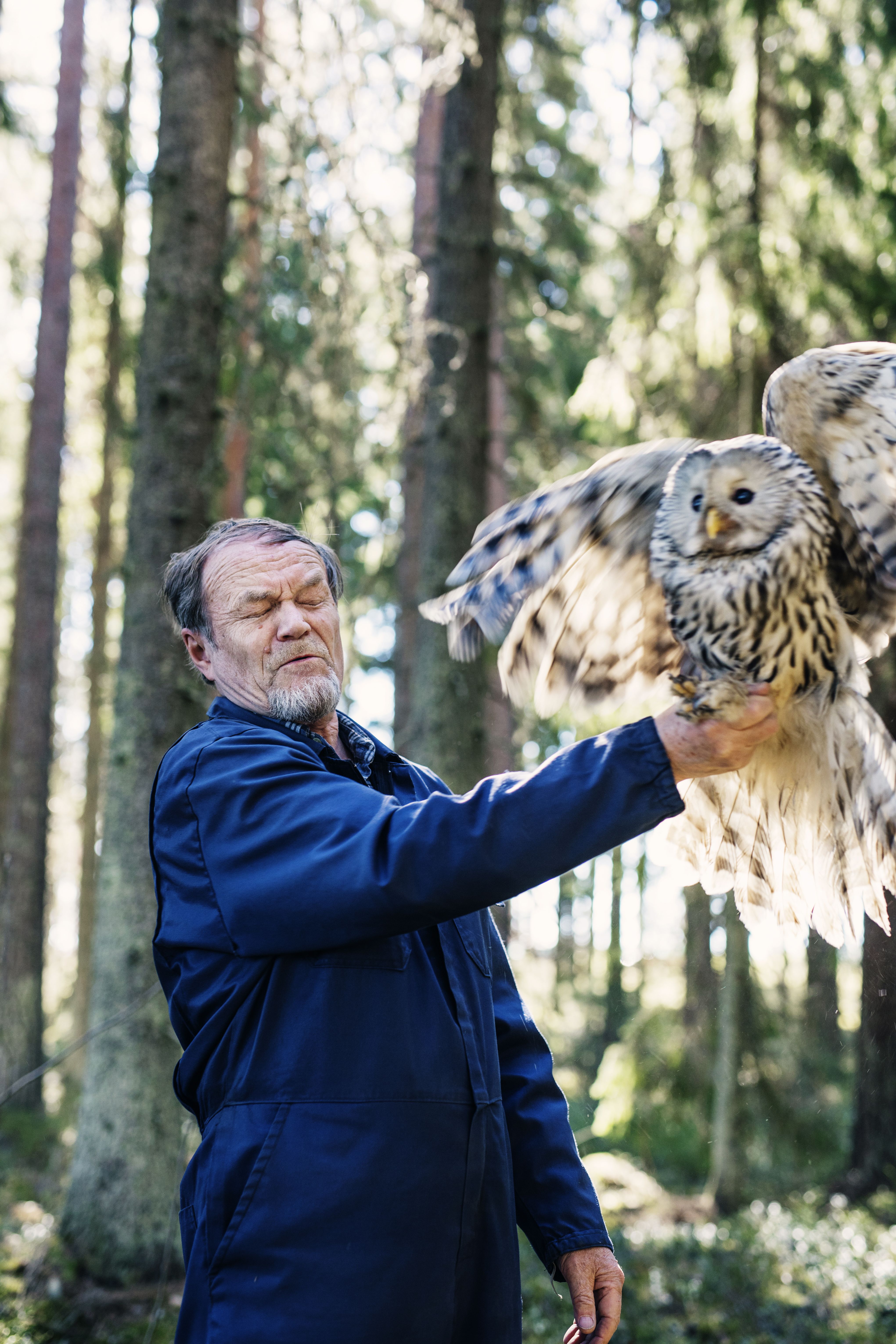 Heikin&nbsp;ote pöllön jalasta on napakka, kunnes on lentoonlähdön aika. – Kun pöllö huomaa, ettei pääse räpiköimään, se yleensä tajuaa istua rauhassa.