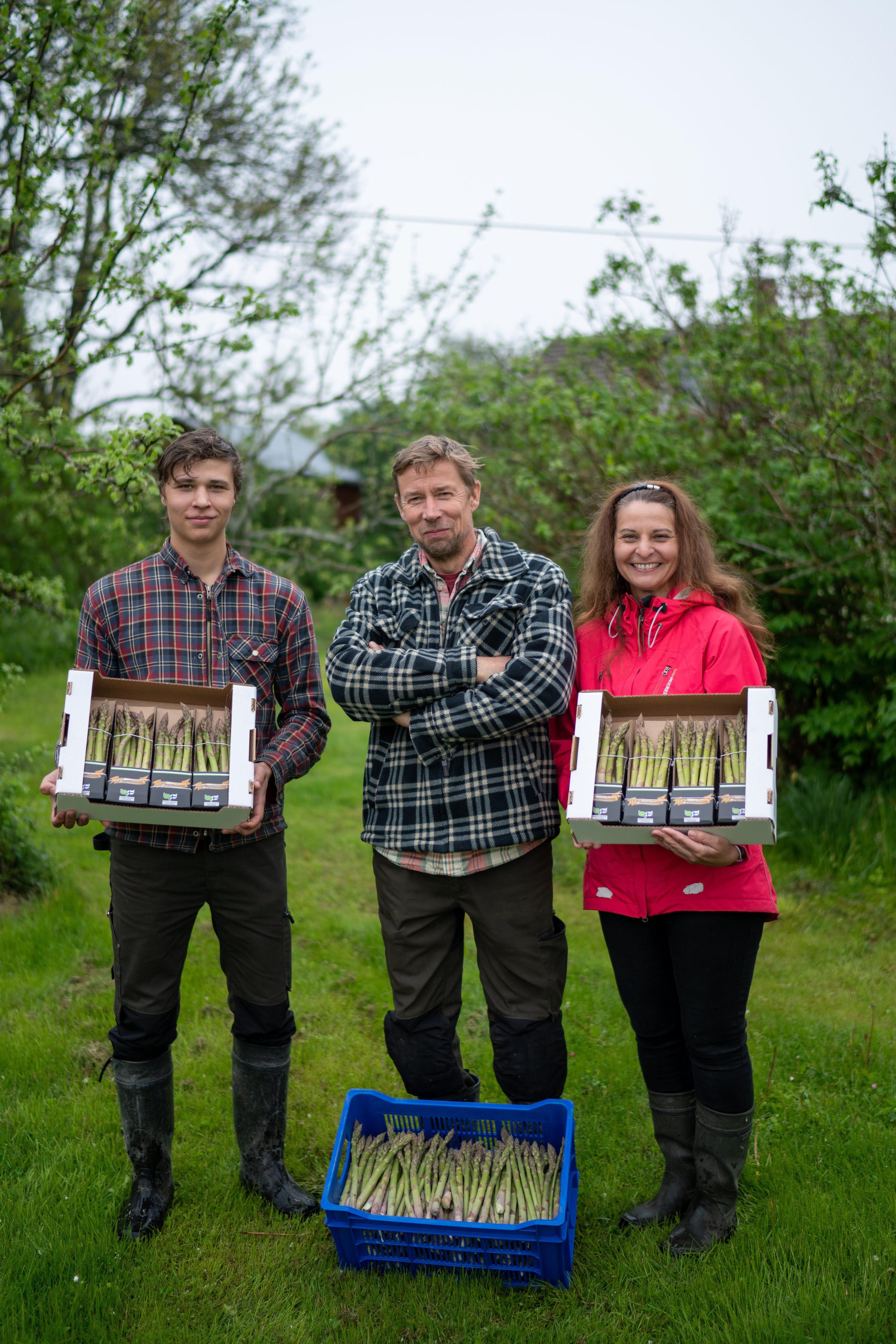 Nikolai, Tage ja Virpi Karlsson viljelevät parsaa.