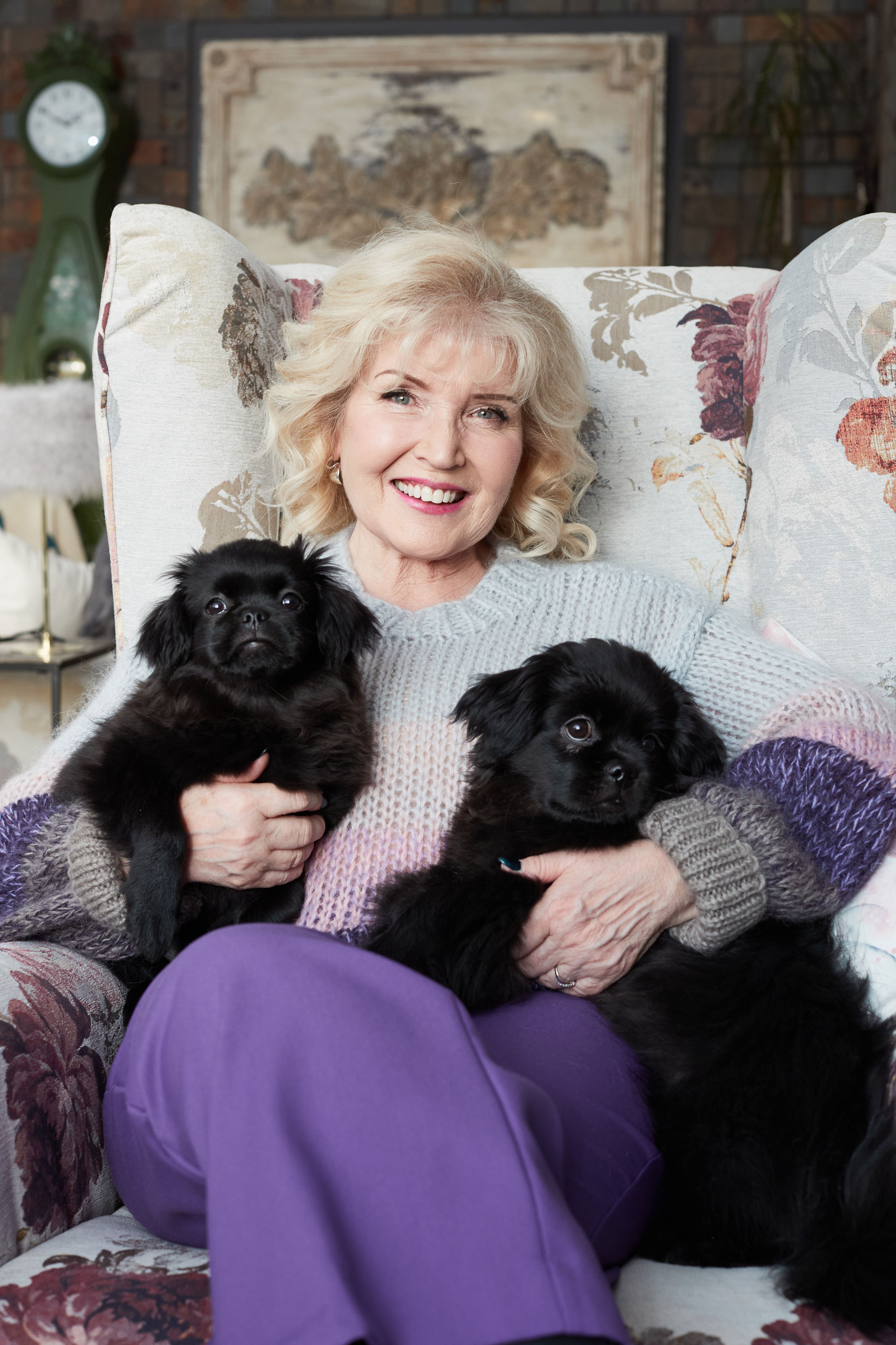 Tiibetinspanielit Sera ja Rene pitävät Riitta Korpelan liikkeellä.