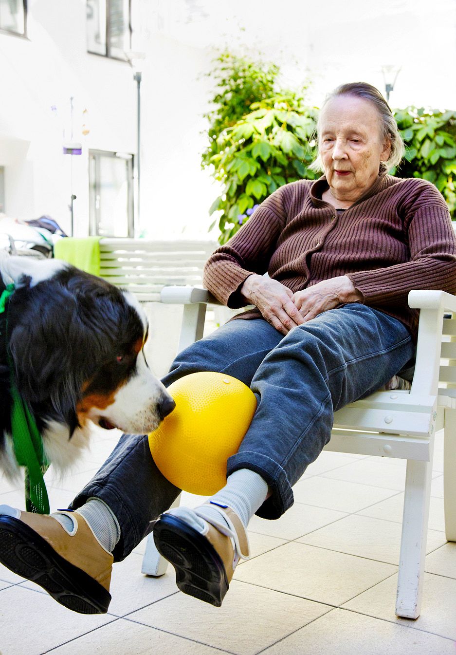 Hertta pallottelee Viljon kanssa ja harjoittaa samalla jalkalihaksiaan.