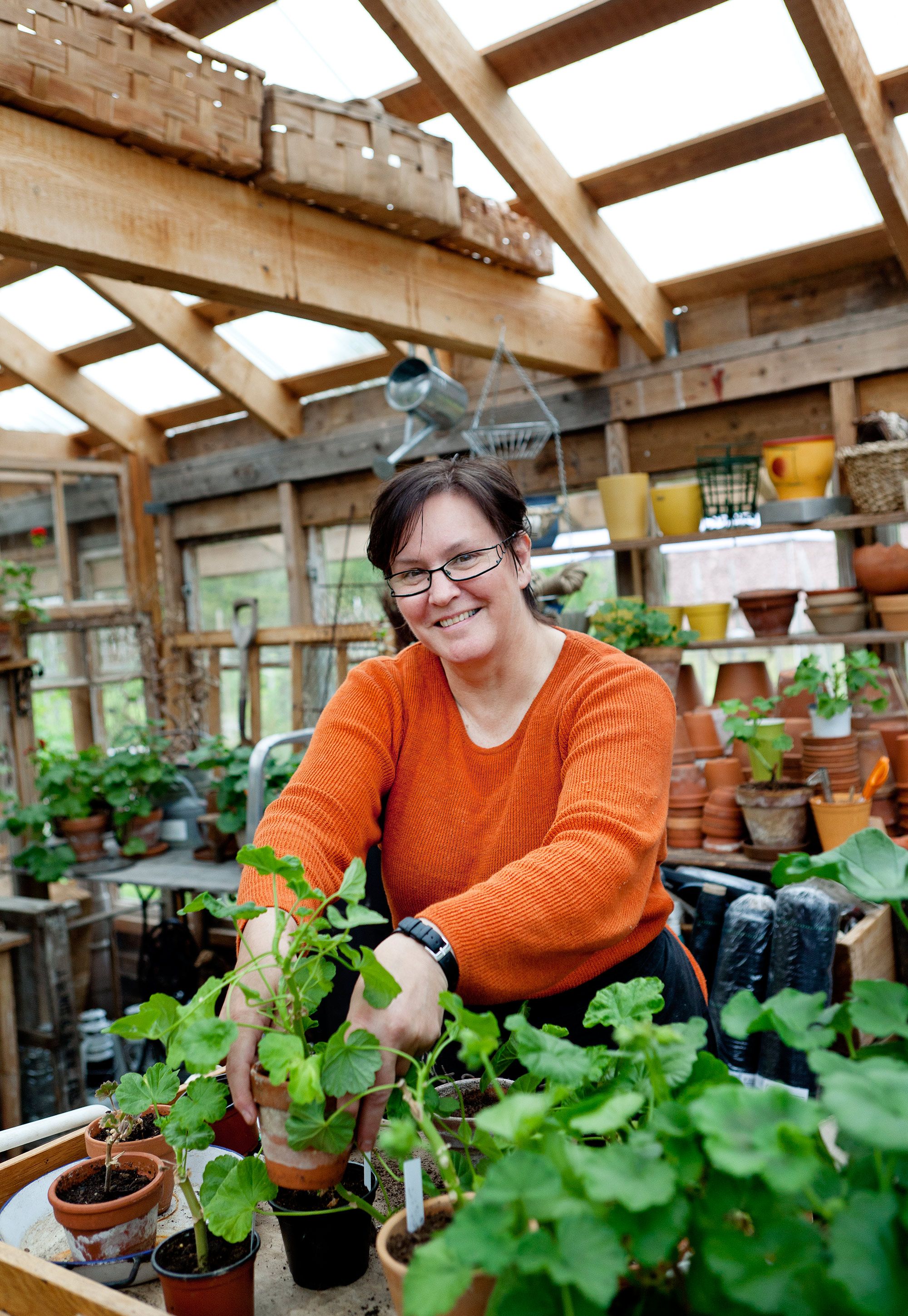 Pelargonia on Lotan lempikasvi.