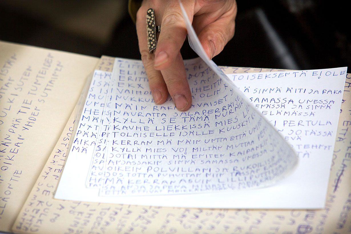 Janne on kirjoittanut jatko-osan Seitsemälle veljekselle.