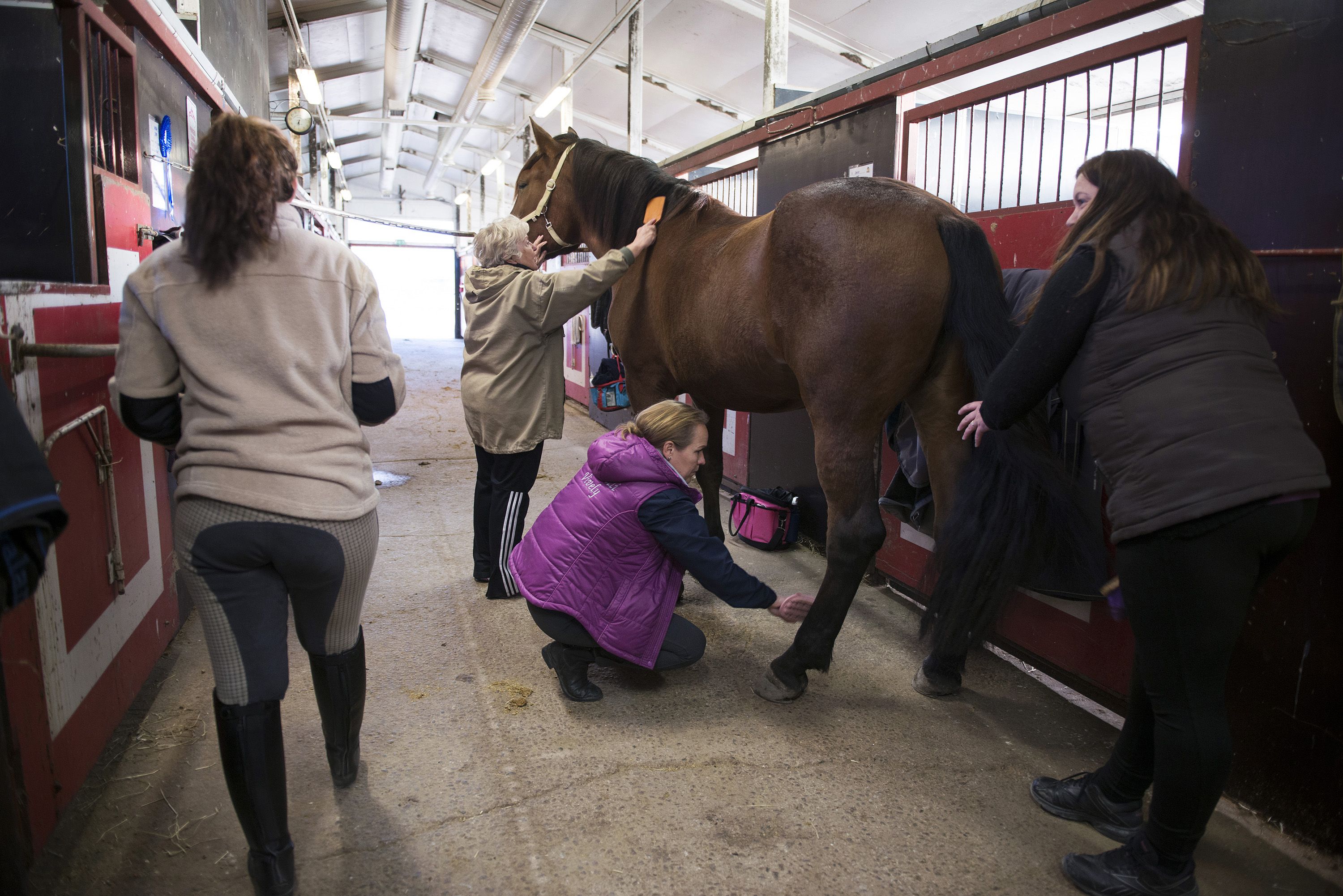 Anita sukii Sulonan harjaa, Kristiina puhdistaa jalkoja ja Janna selvittää häntää. Vaikka Sulona on kova keksimään puuhaa itsekseen, se on opetettu olemaan hoidettaessa rauhallisesti.