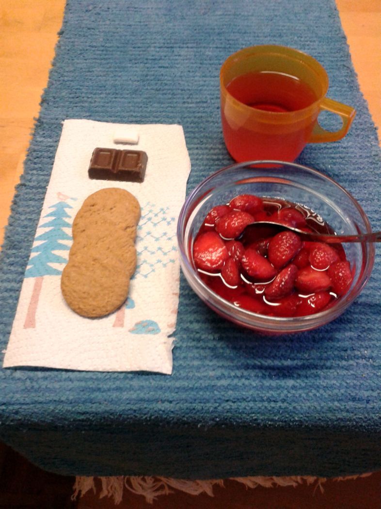 Samettiruusu kirjoittaa keskustelupalstalla: ”Tässä kuvassa on välipalaa, jota tarjosin 5-vuotiaalle tyttären pojalle: Mansikoita, neljä kaurakeksiä, vadelmamehua, kaksi suklaapalaa, purukumia lopuksi.”