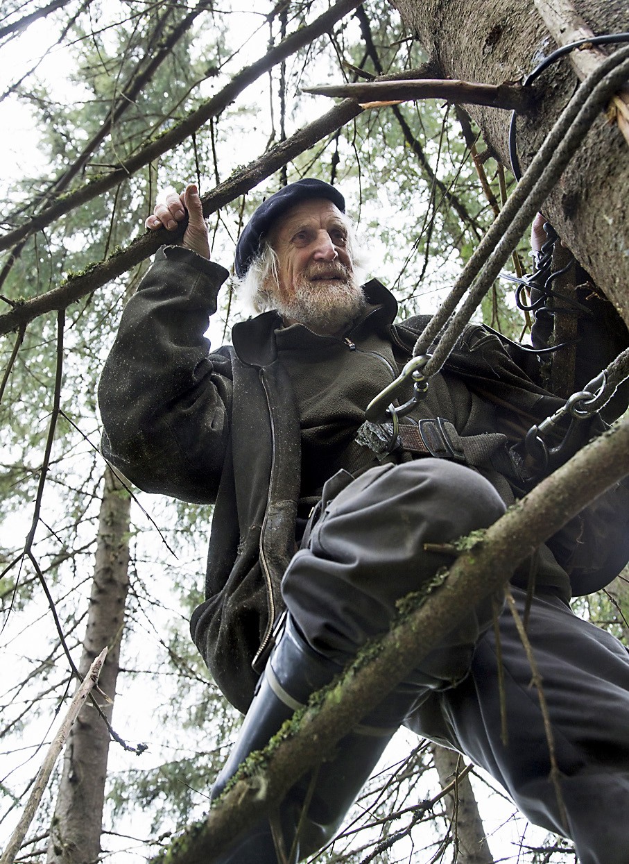 Kuusi panee köyden ja miehen koville.
