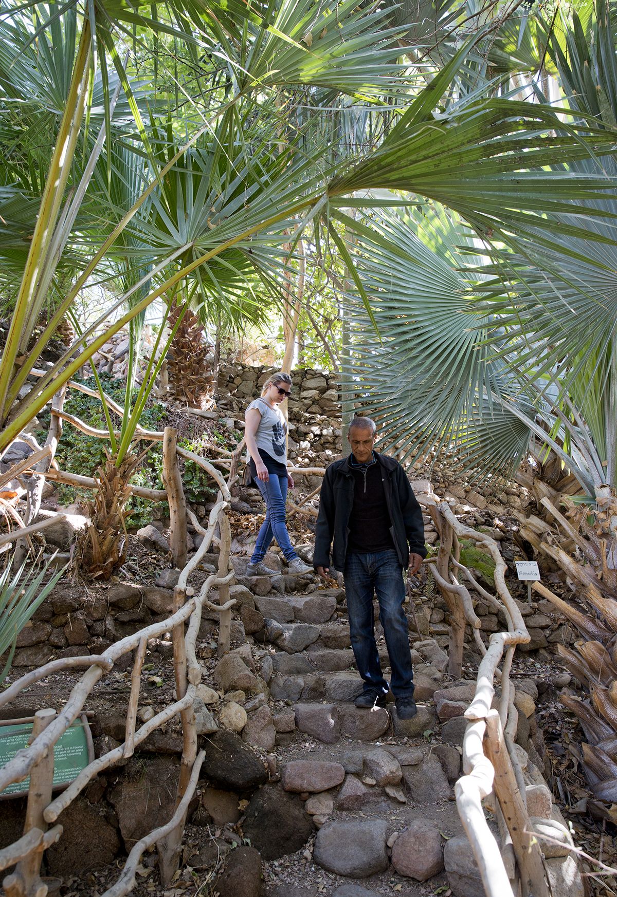 Ratzon Cohen opastaa kasvitieteelliseen puutarhaan.