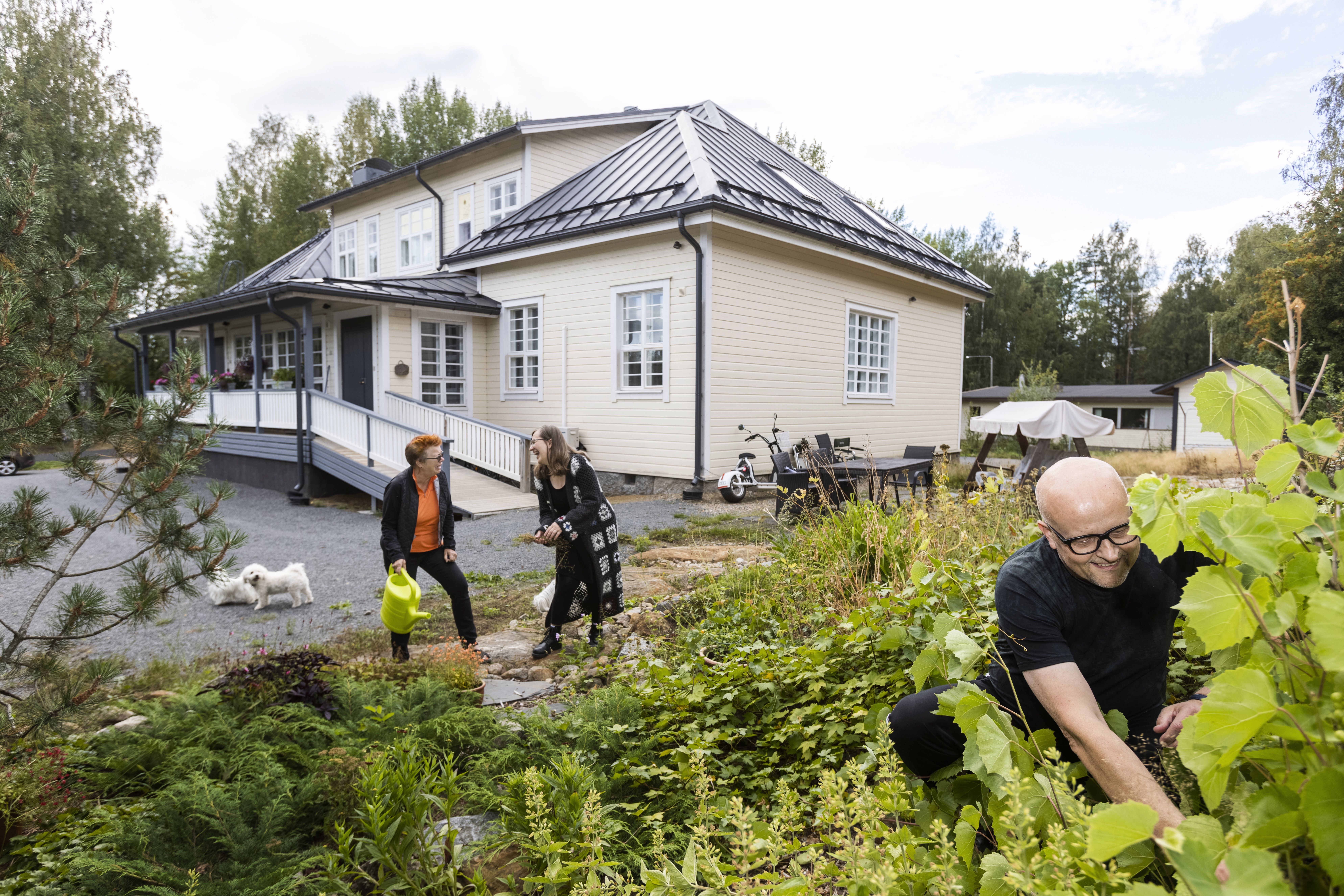 Pöllölän puutarha on Seppo Rinteen valtakuntaa. Leena Ilmola-Sheppard, Marianne Koivunen ja muut auttavat tarvittaessa.