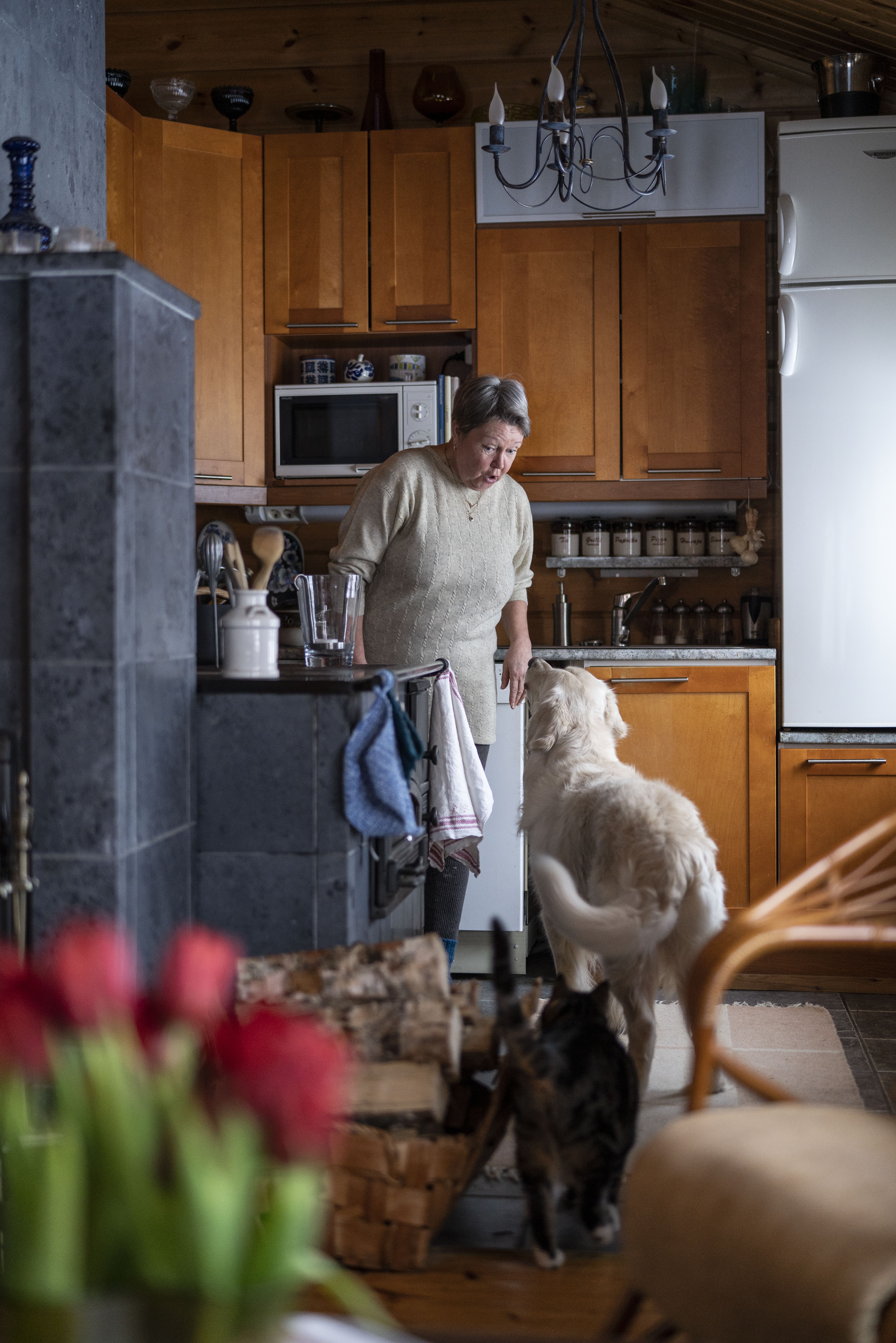 Irene&nbsp;haaveilee&nbsp;pitkistä lenkeistä yhdessä rakkaiden koiriensa kanssa.