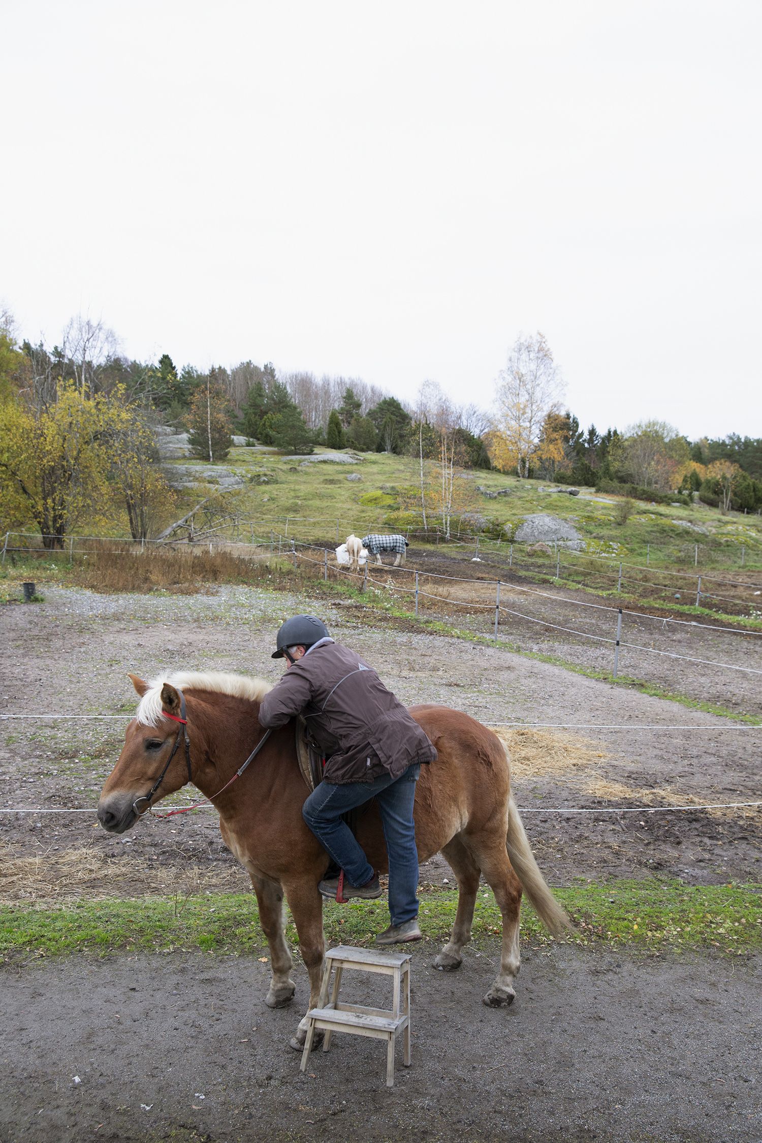 ”Emme koskaan suorita Nupun kanssa, vaan teemme mitä huvittaa”, Heikki kertoo.
