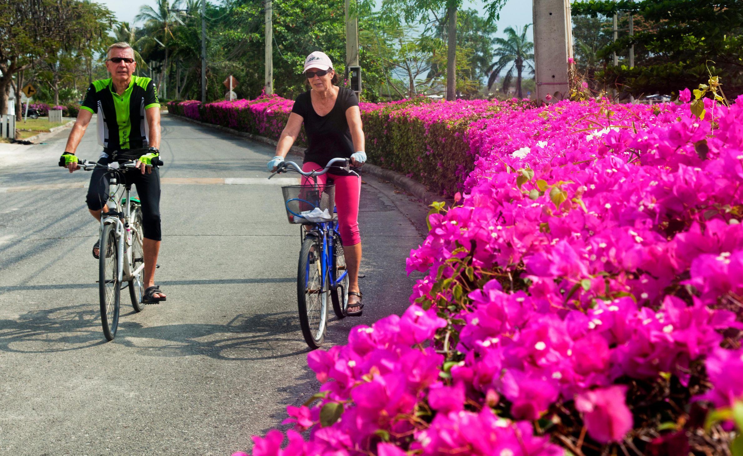 Kaija ja Leevi ulkoilevat paljon, mutteivät viihdy rannalla.