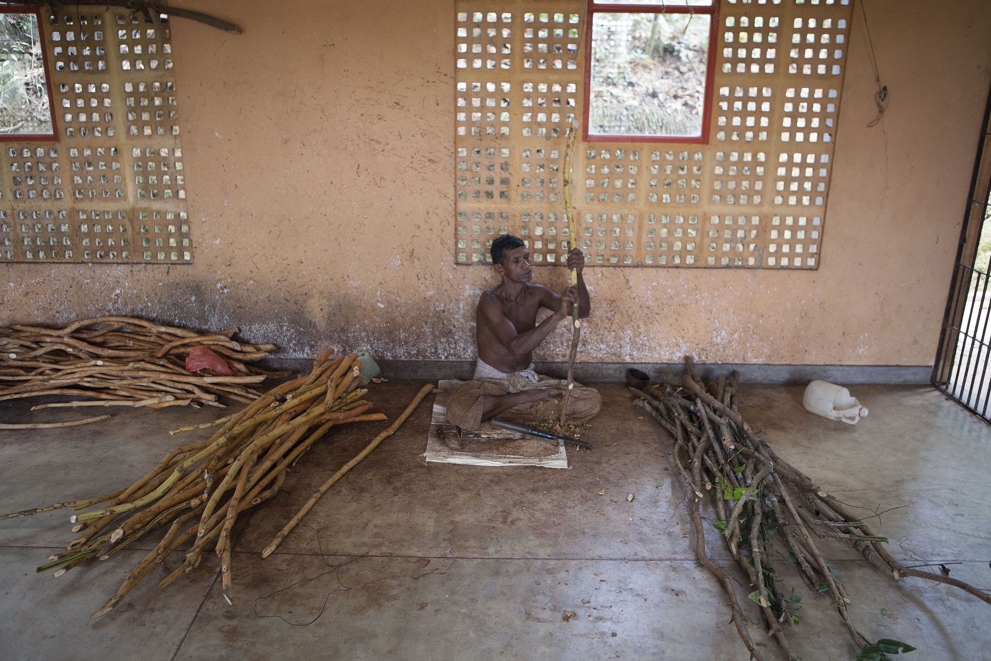 Kanelinkuorija työskentelee sadonkorjuun aikann kello 05-24. Palkka on 20 euroa päivässä.