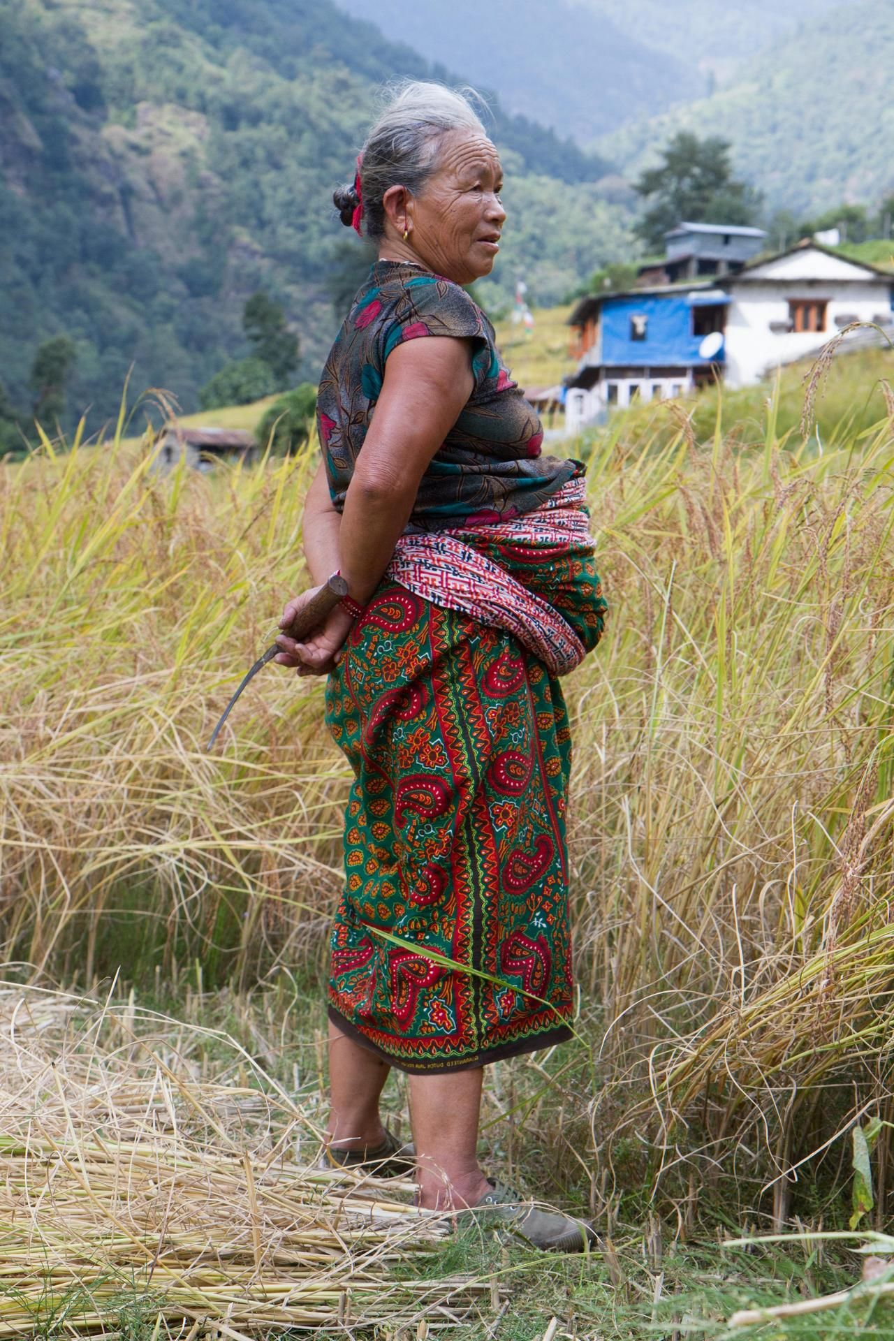  Vauva kulkee isoäidin mukana peltotöissä.