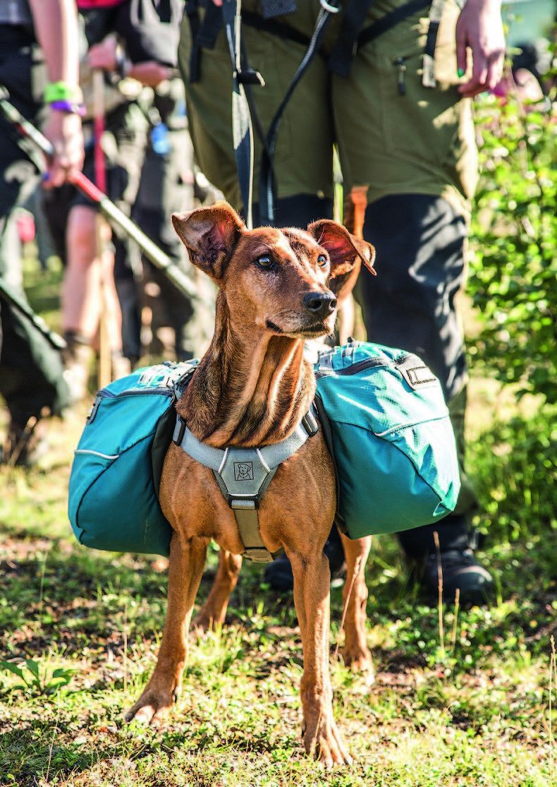 Kiora kantoi omat vaellusvarusteensa mukisematta koko matkan.