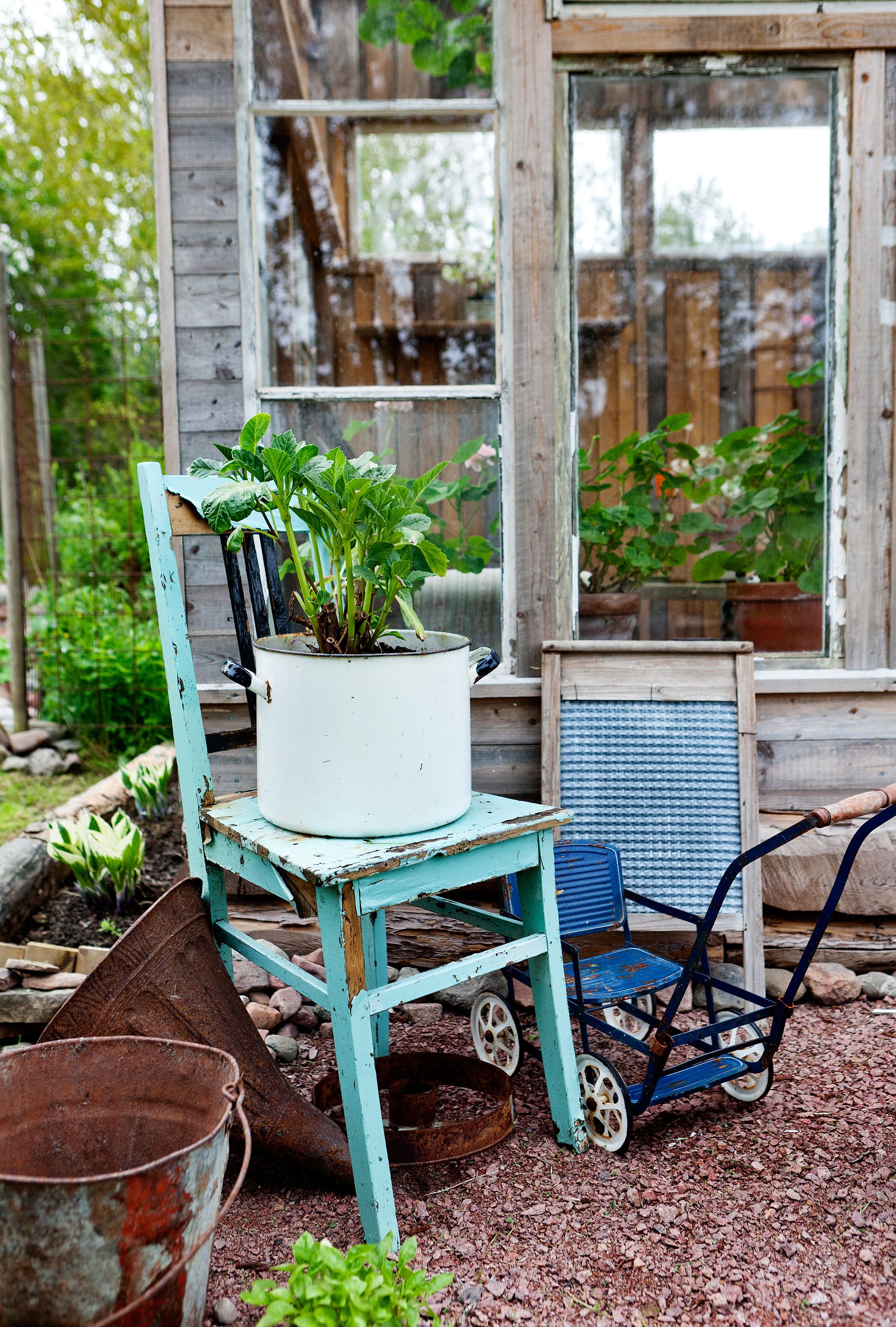 – Tykkään luoda asetelmia puutarhaan eli laittaa kauniita asioita yhteen. Saan siitä voimaa, Lotta sanoo.