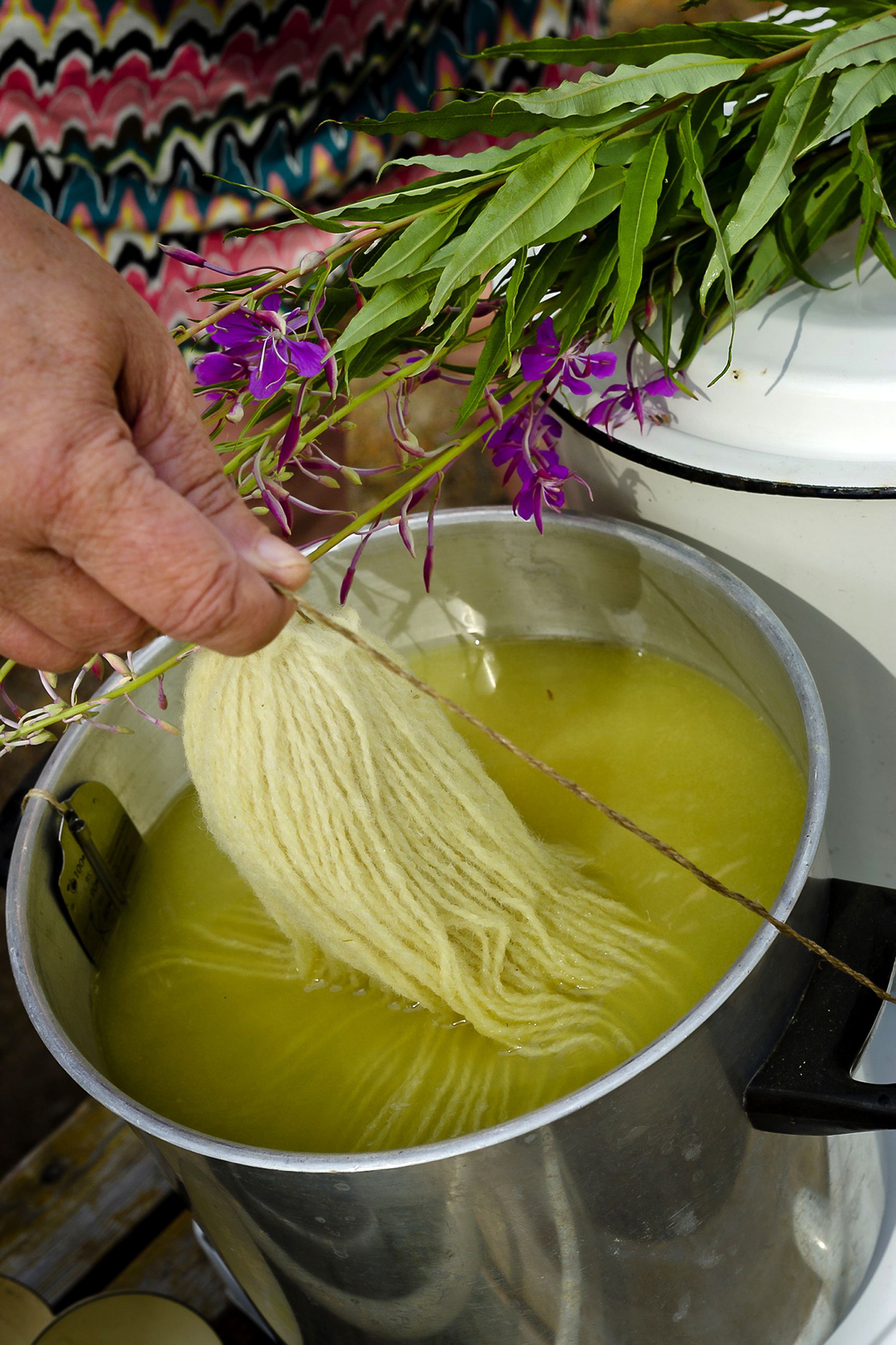 Maitohorsmasta tulee lankaan kellertävän vihreä sävy.