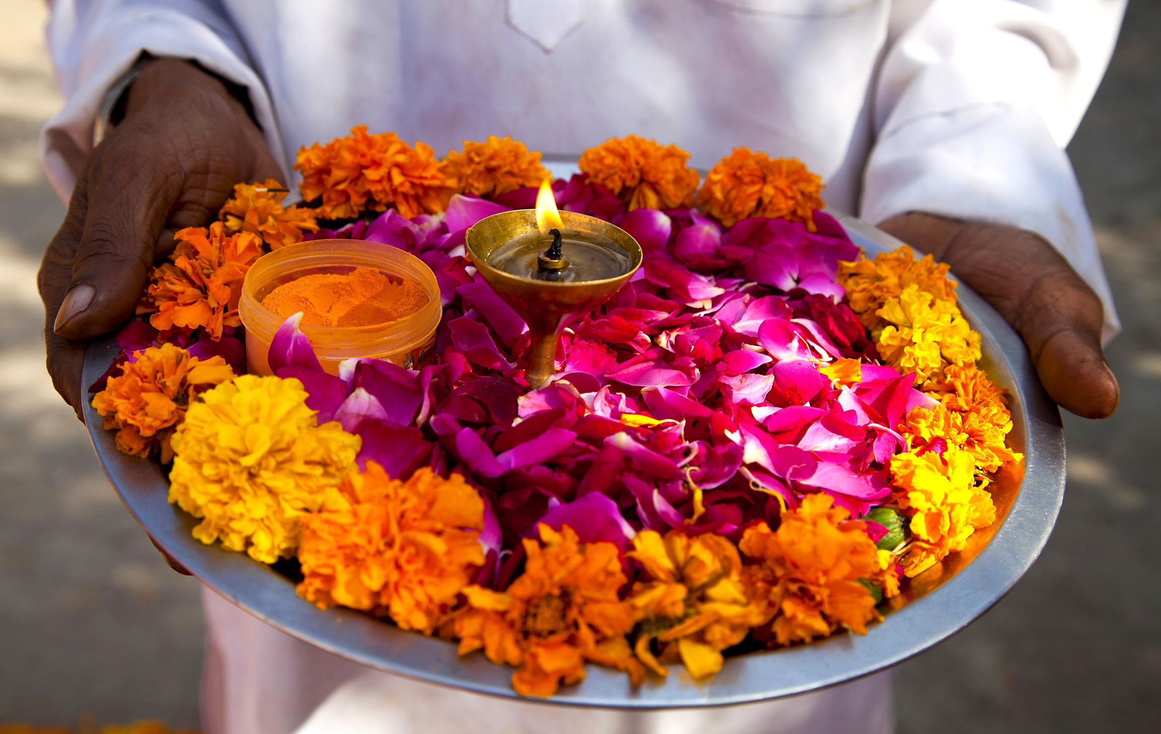 Samettikukkia käyteään pujaan, pyhään toimitukseen.
