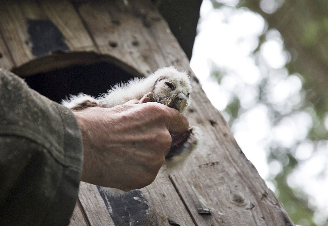 T'ämä tyyppi aloittaa lähiviikkoina lentoharjoitukset.