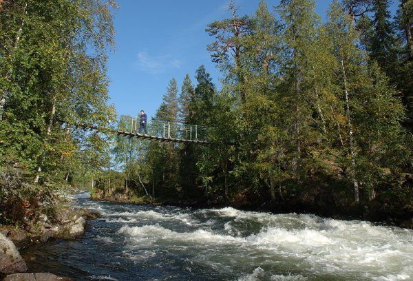 Myllykosken ylittävällä riippusillalla pääsee lähelle kosken kuohuja.