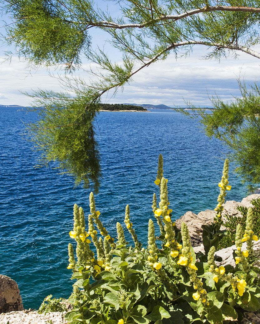 Näillä ulapoilla on seilannut tuhat ja yksi valloittajaa.