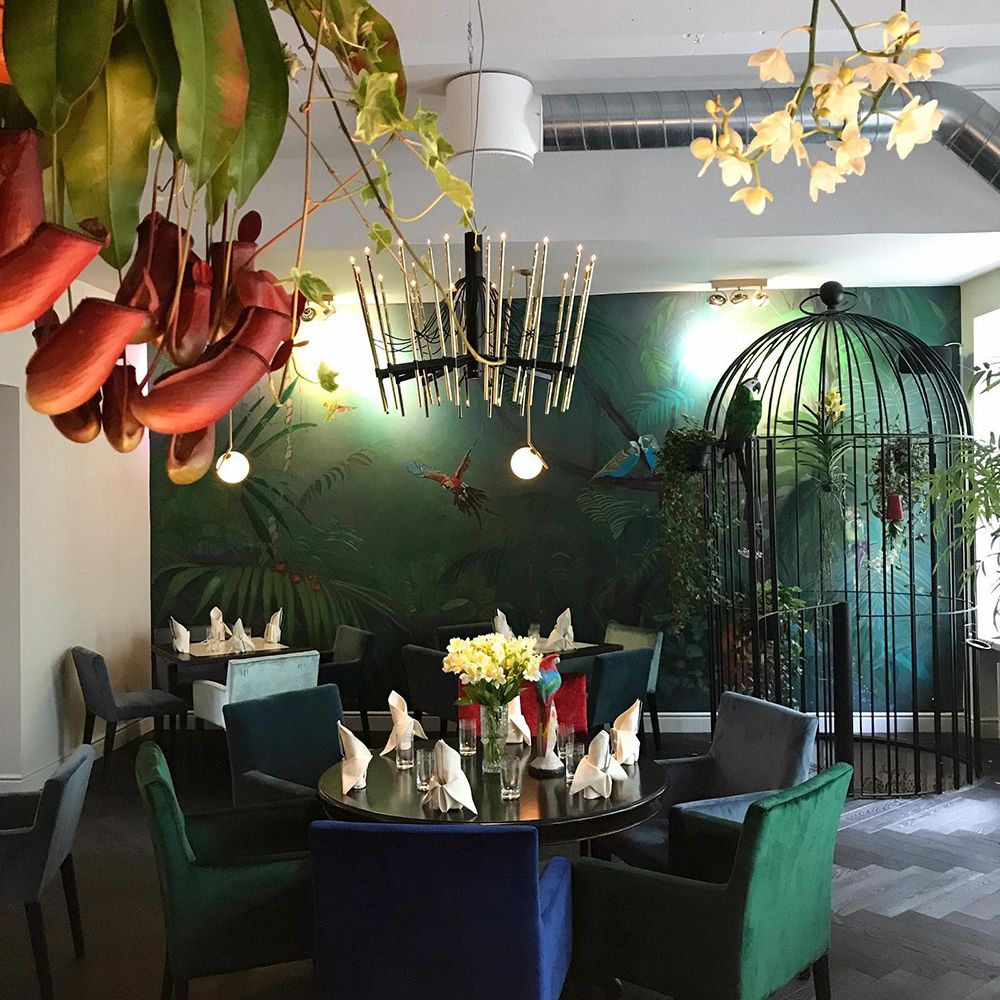 Virossa suositun keittolounaan saa monissa paikoissa 3–4 eurolla.